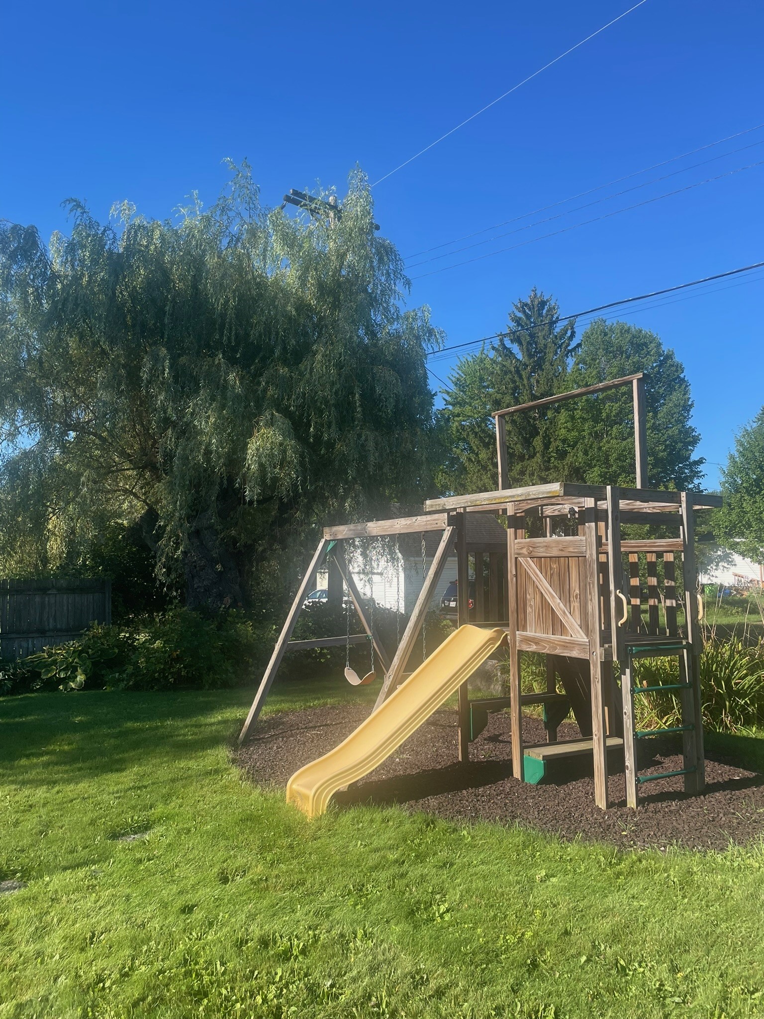 Photo 19