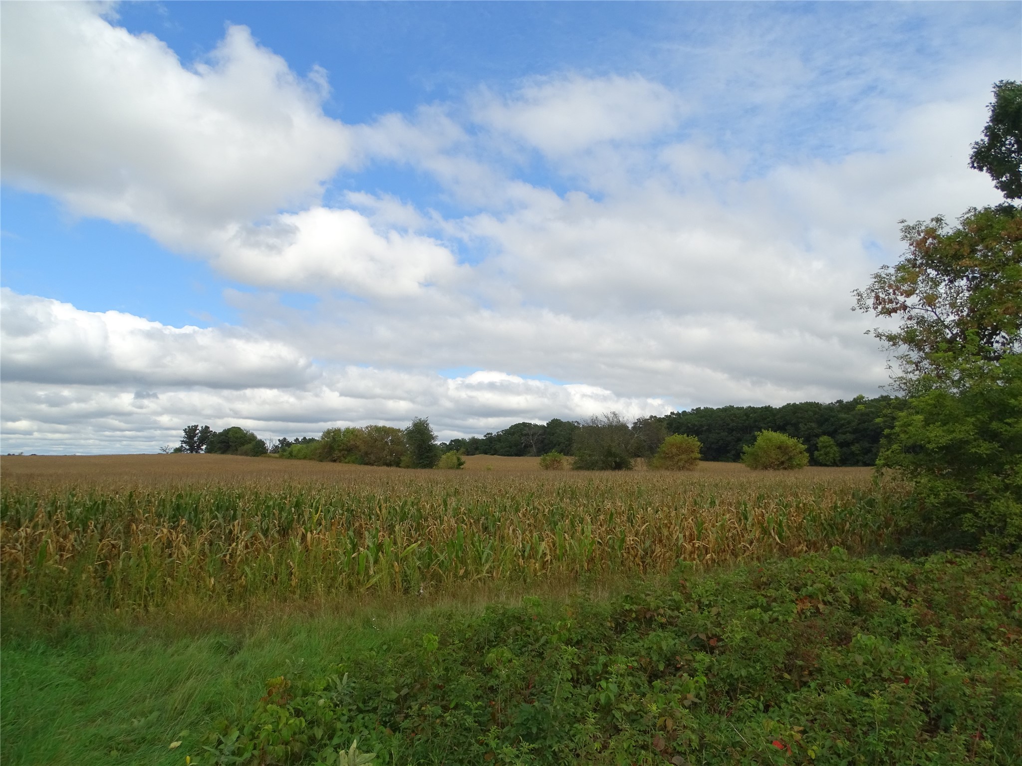 Photo of 000 State Highway 85, Mondovi, WI