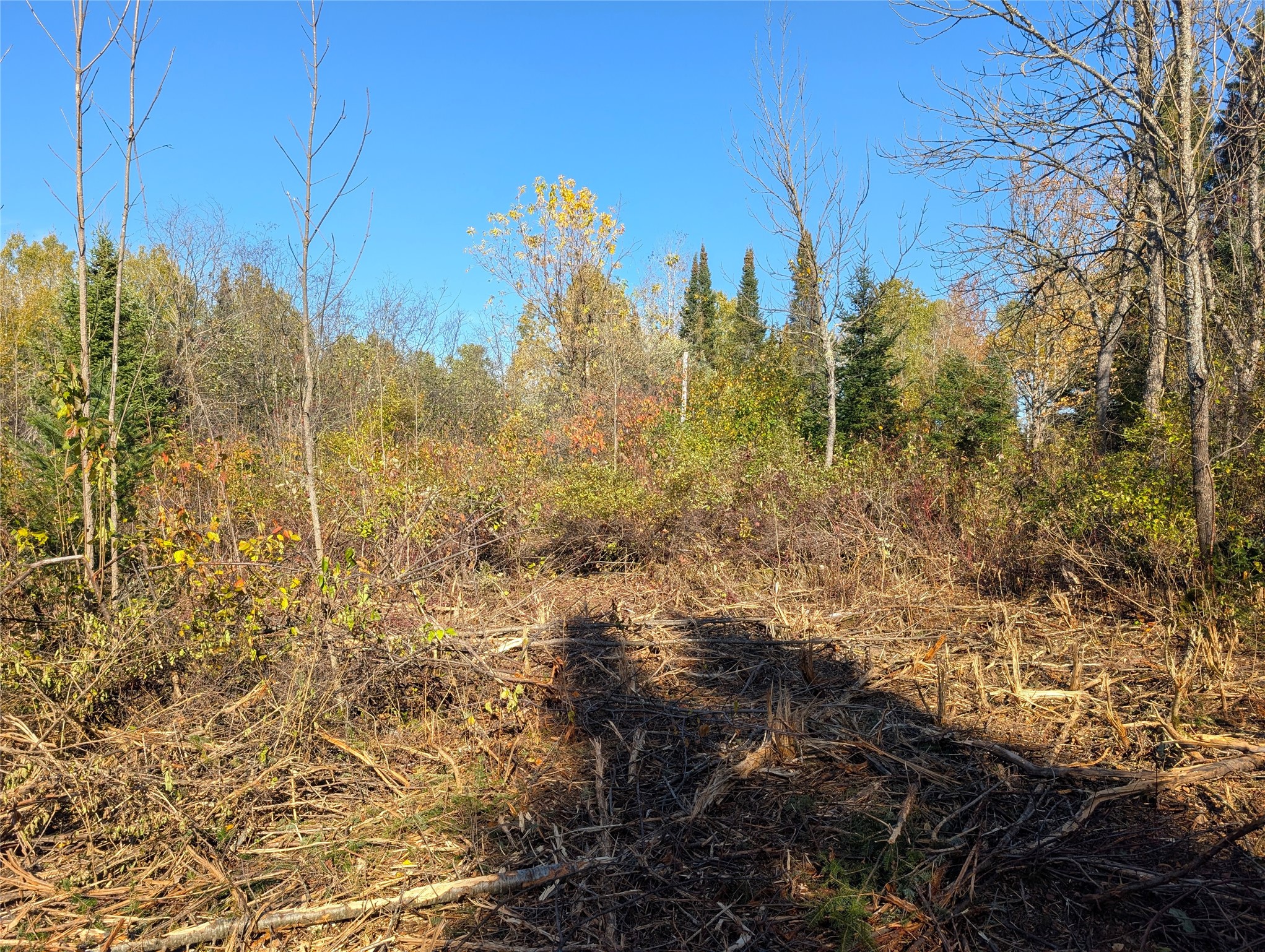 Property Photo #10