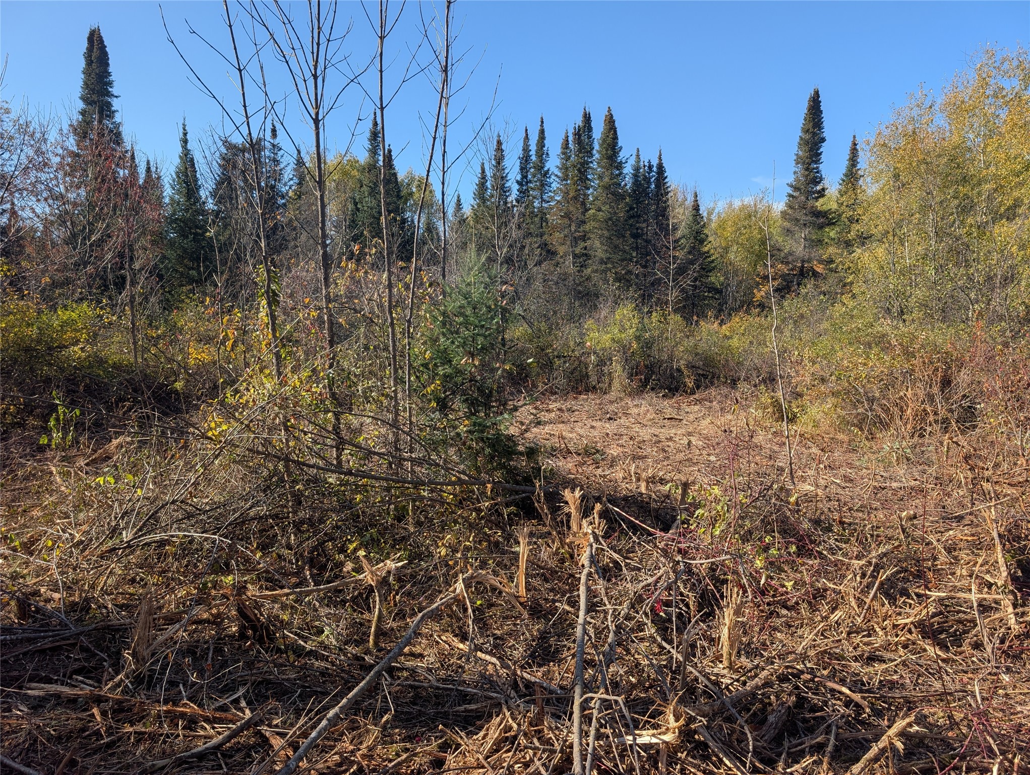 Property Photo #11