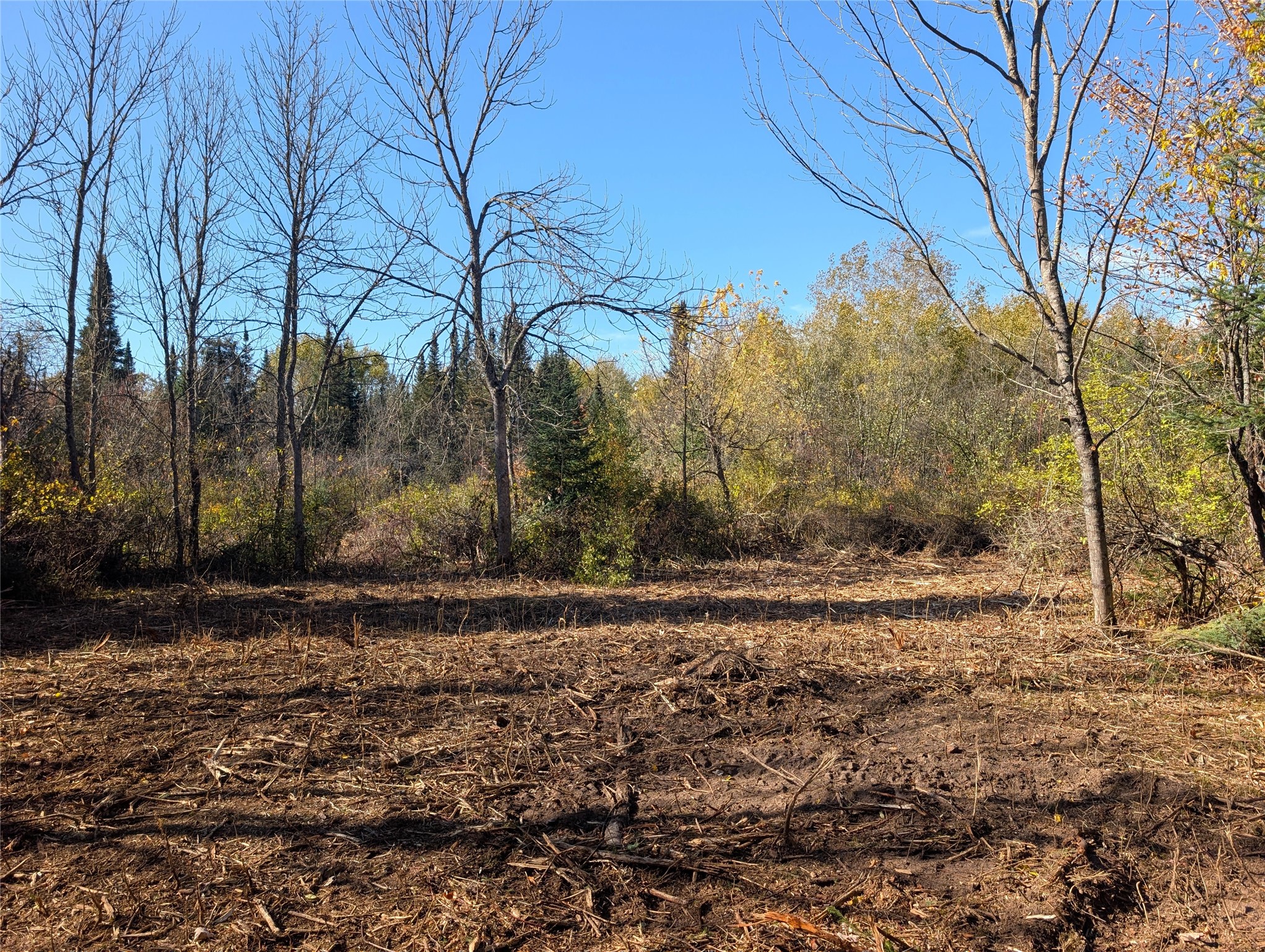 Property Photo #4