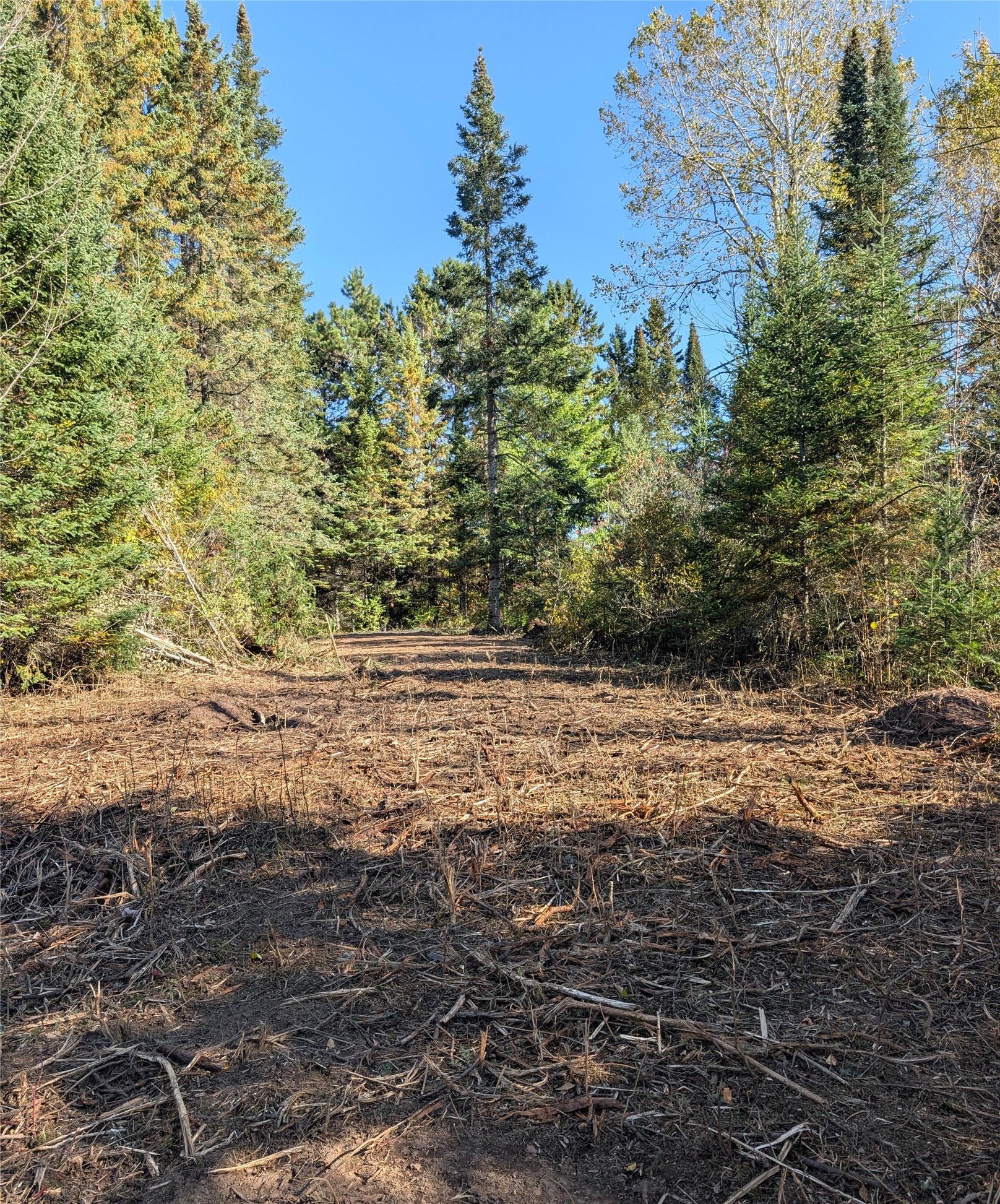 Property Photo #5