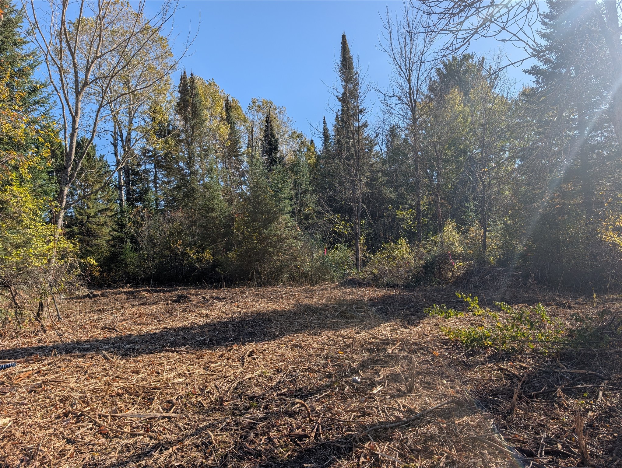 Property Photo #6