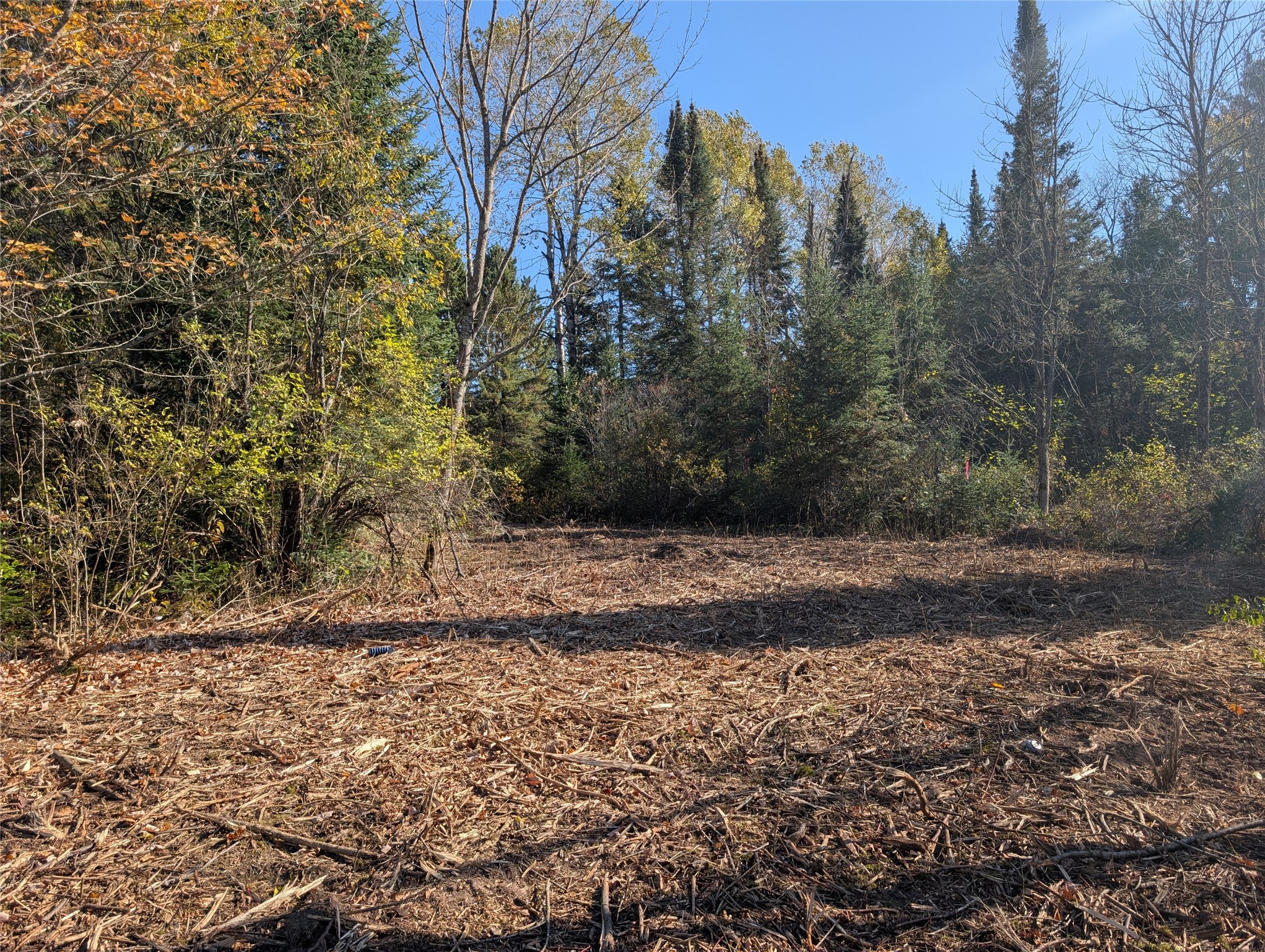 Property Photo #7