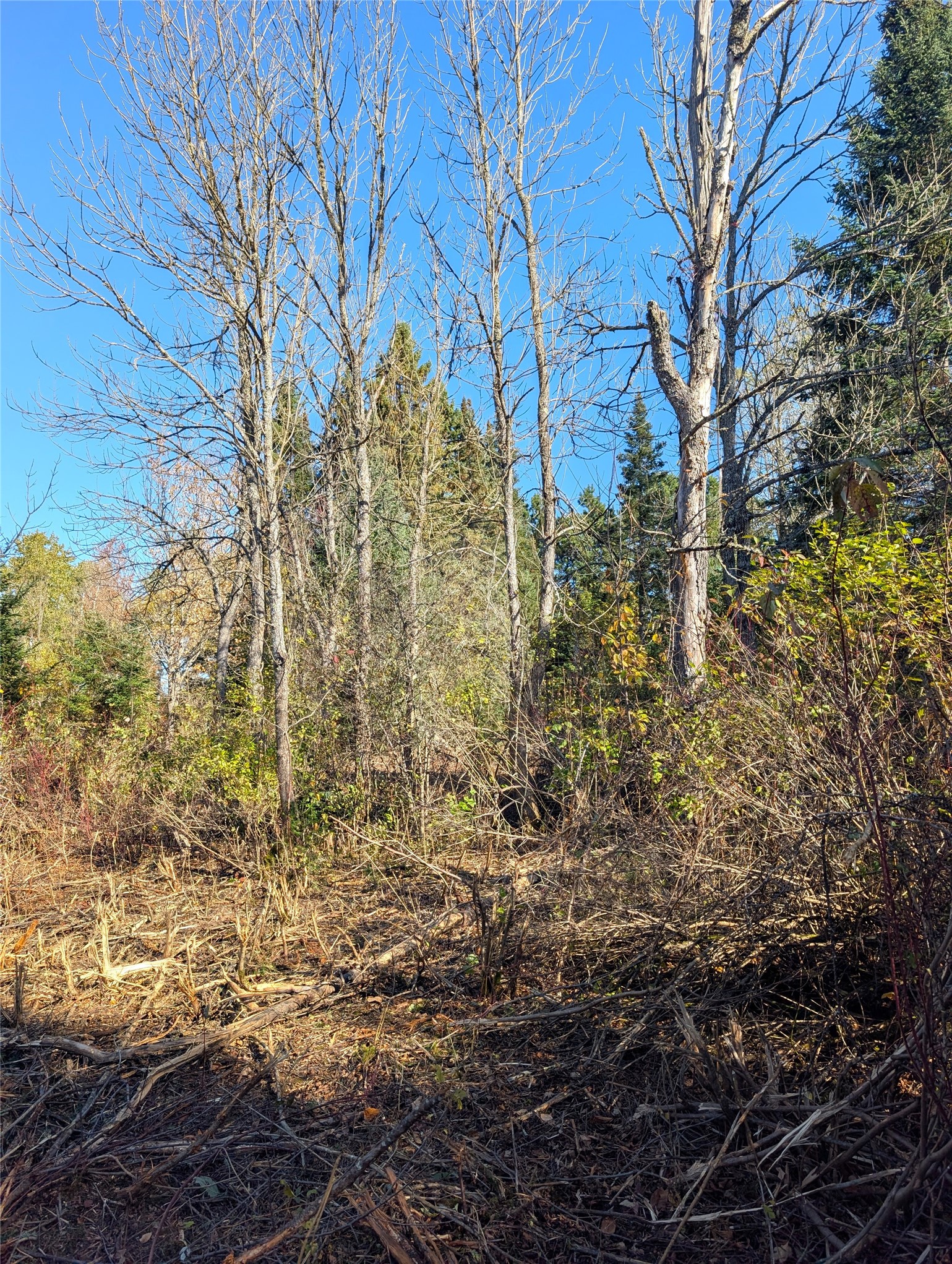 Property Photo #8
