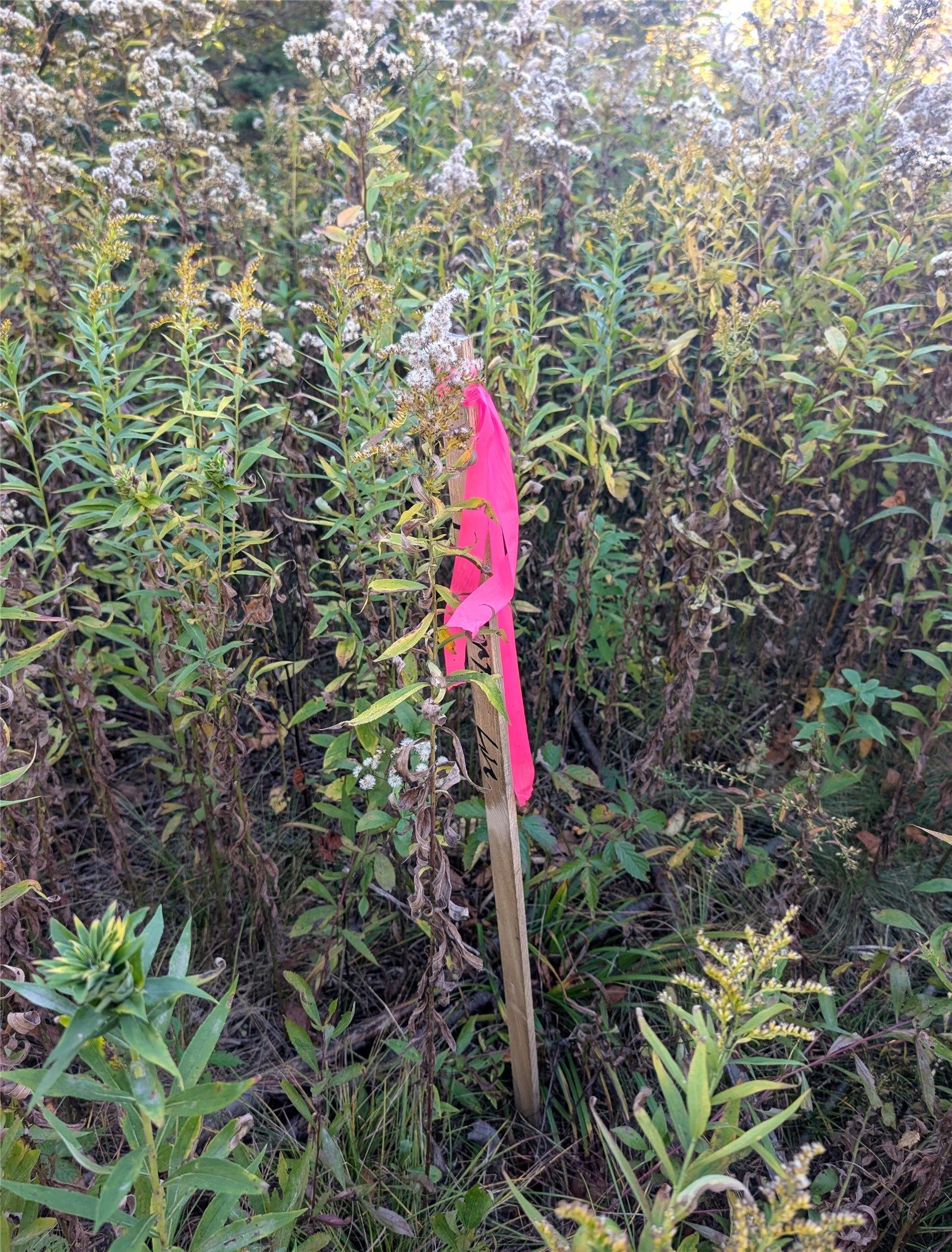 Property Photo #9