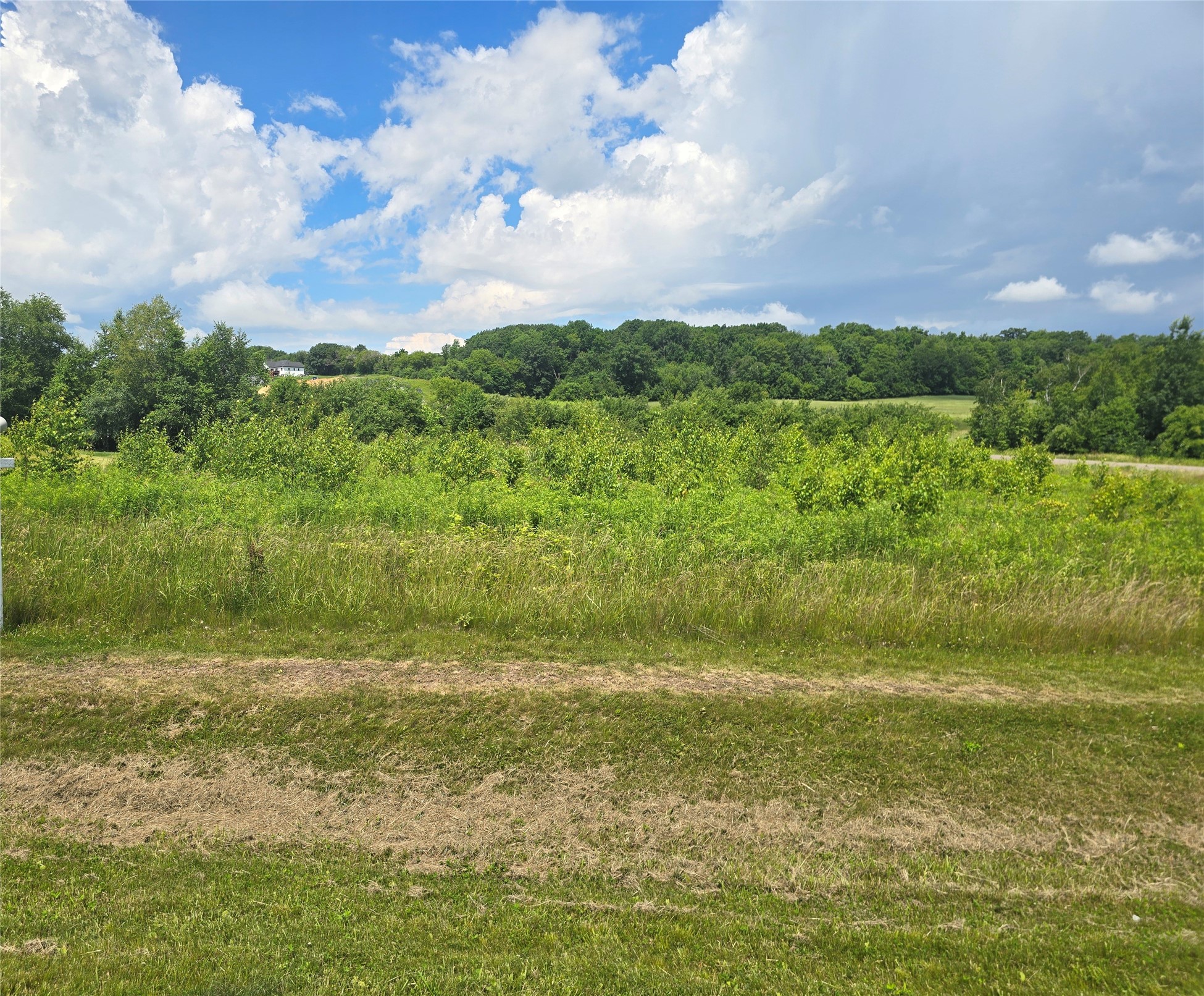 Chippewa Falls Land Real Estate