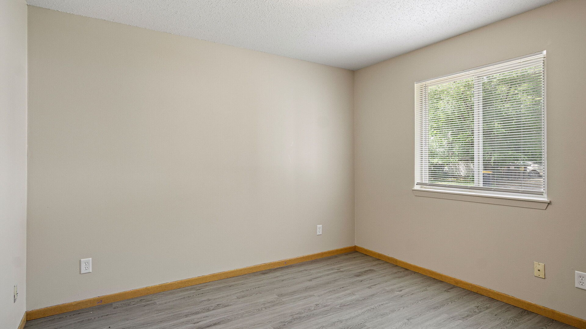 Property Photo #52