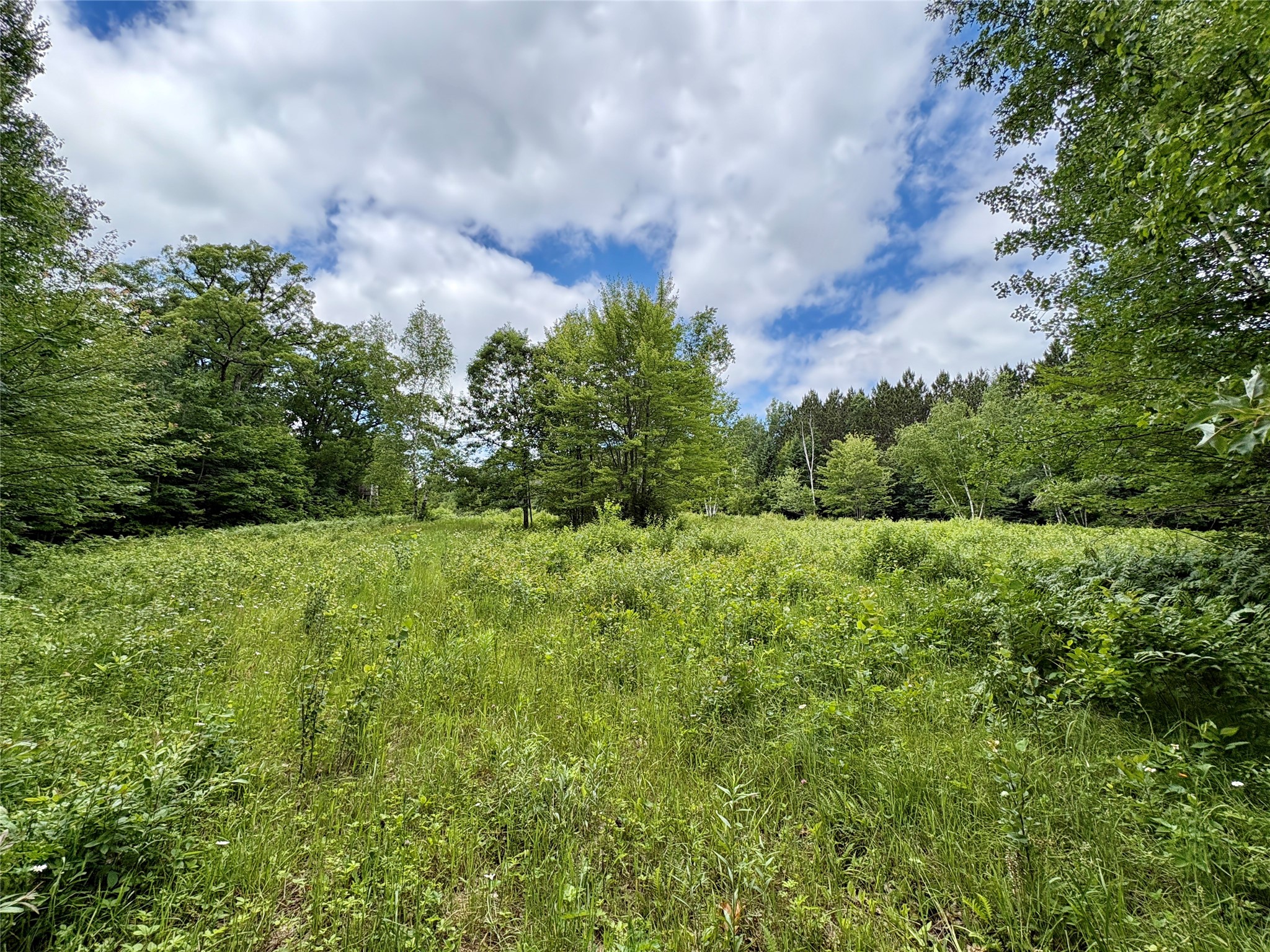 Chetek Land Real Estate