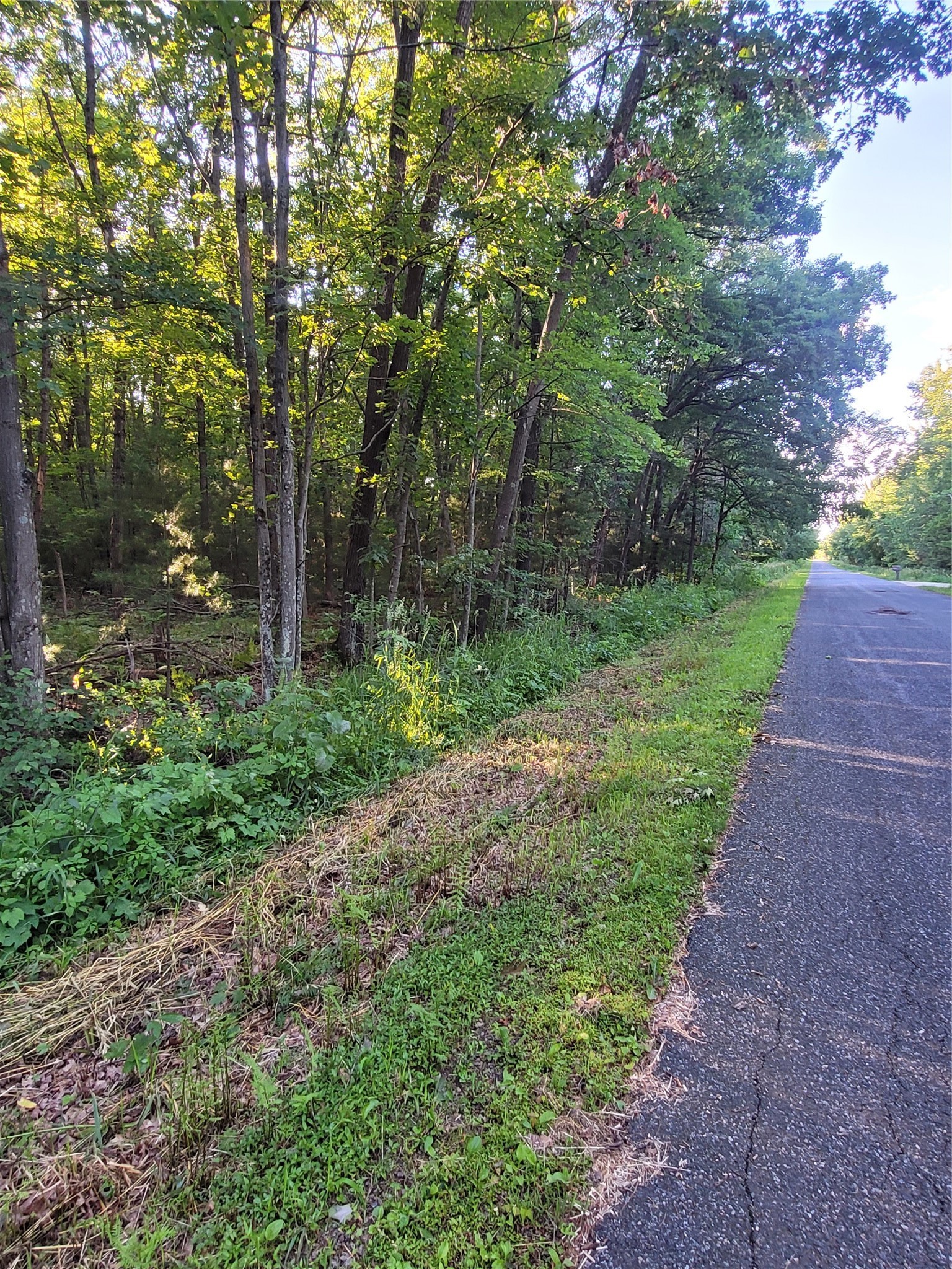 Merrillan - Land Real Estate