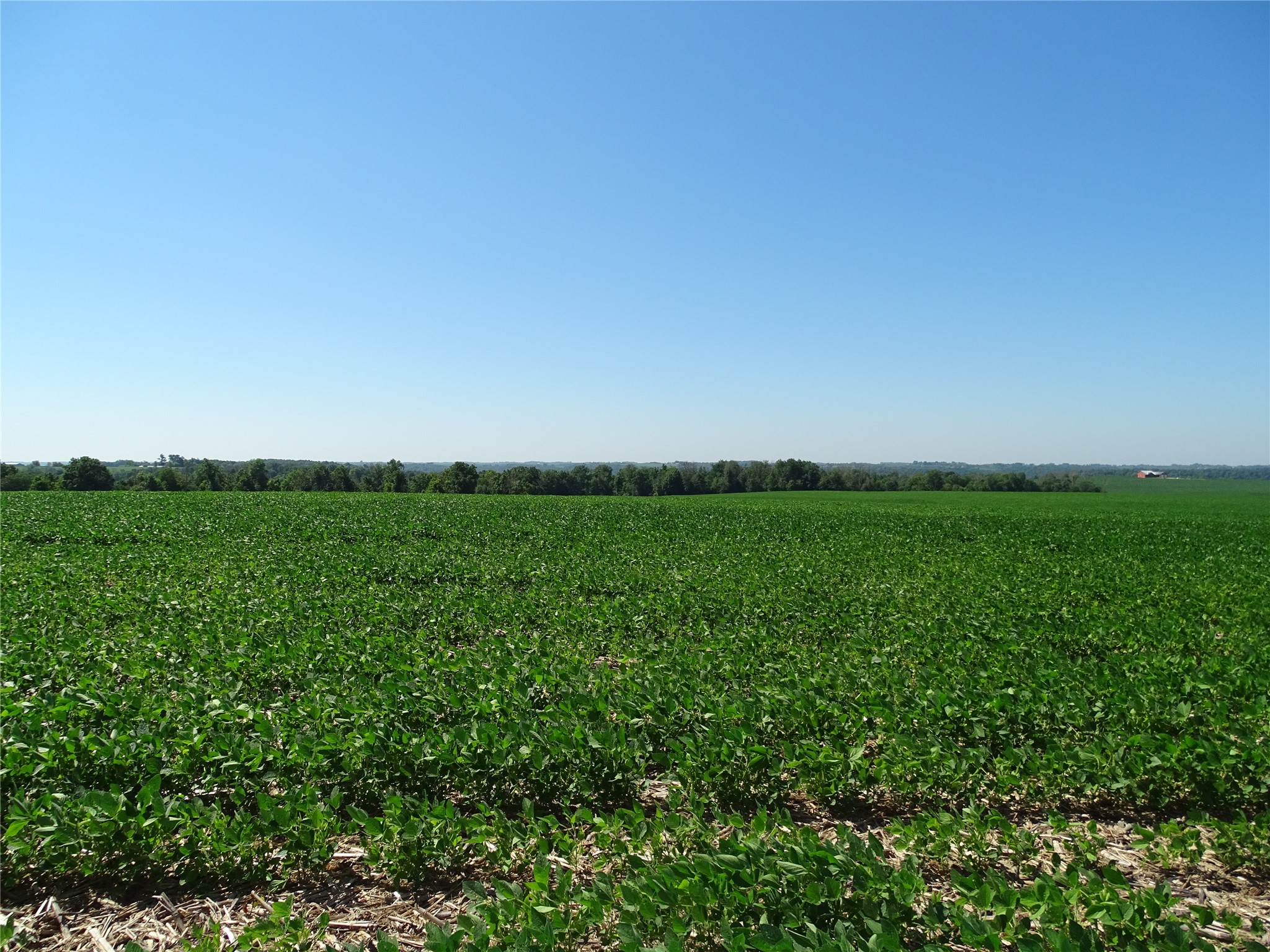 Plum City Land Real Estate
