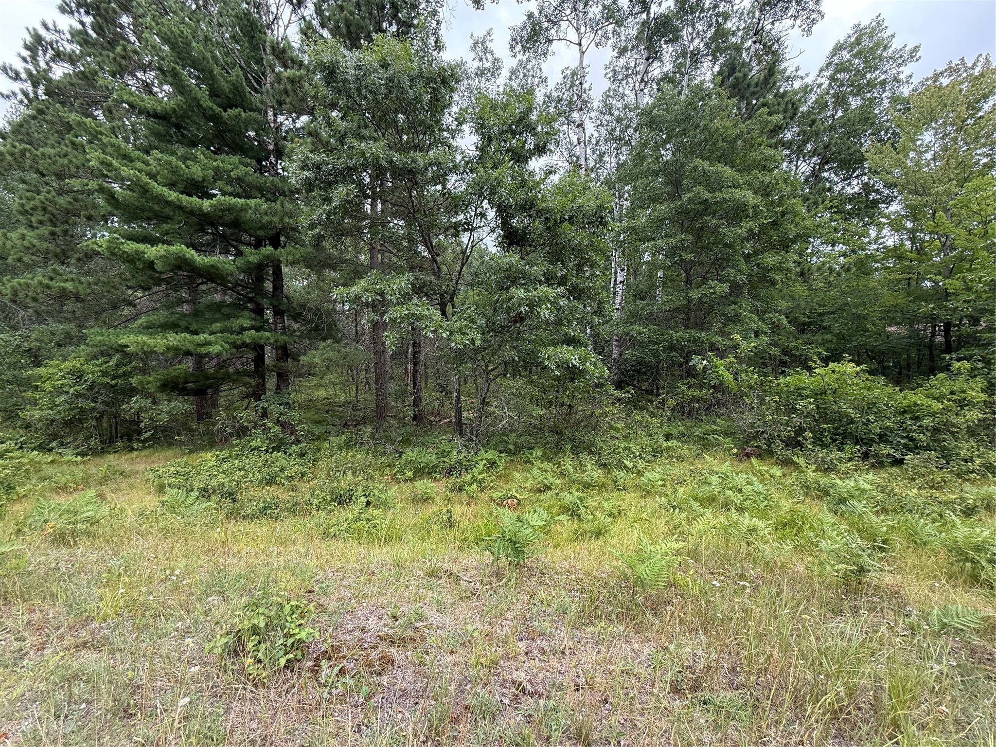 Barnes Land Real Estate