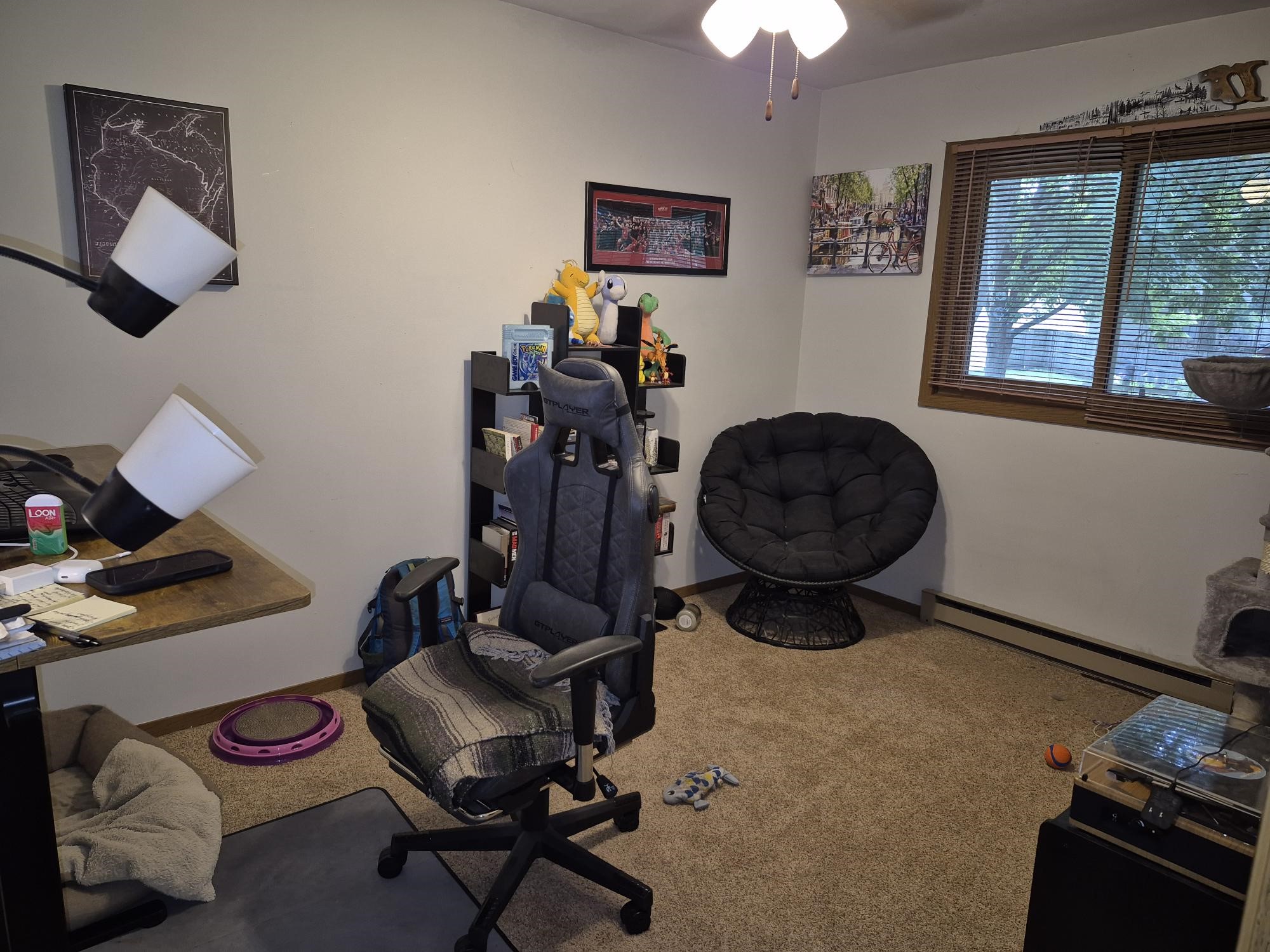 Photo 19