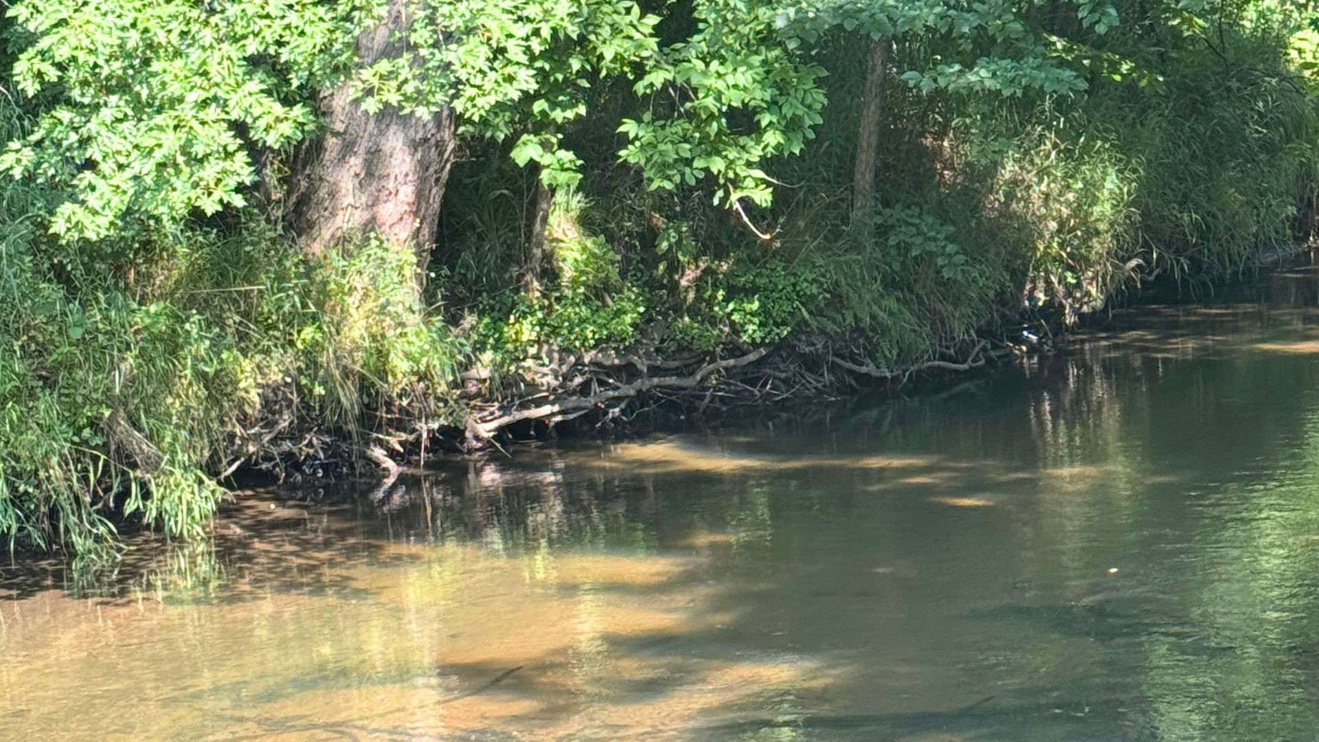 Thumbnail 42
