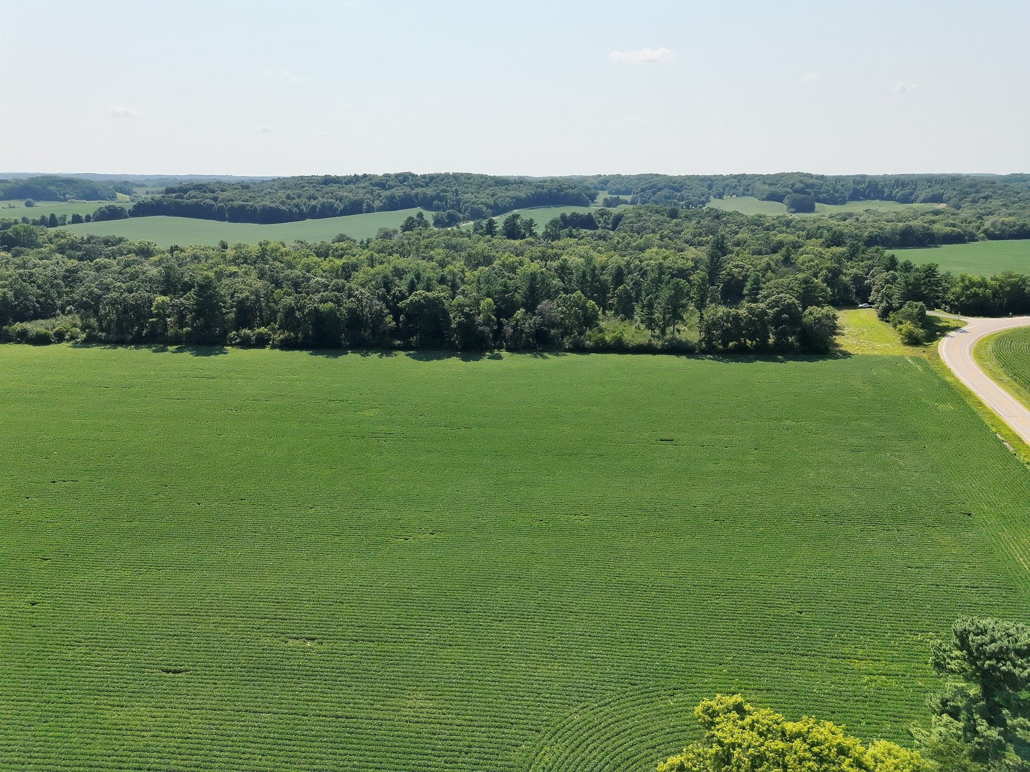 Boyceville - Land photo 6 of 60