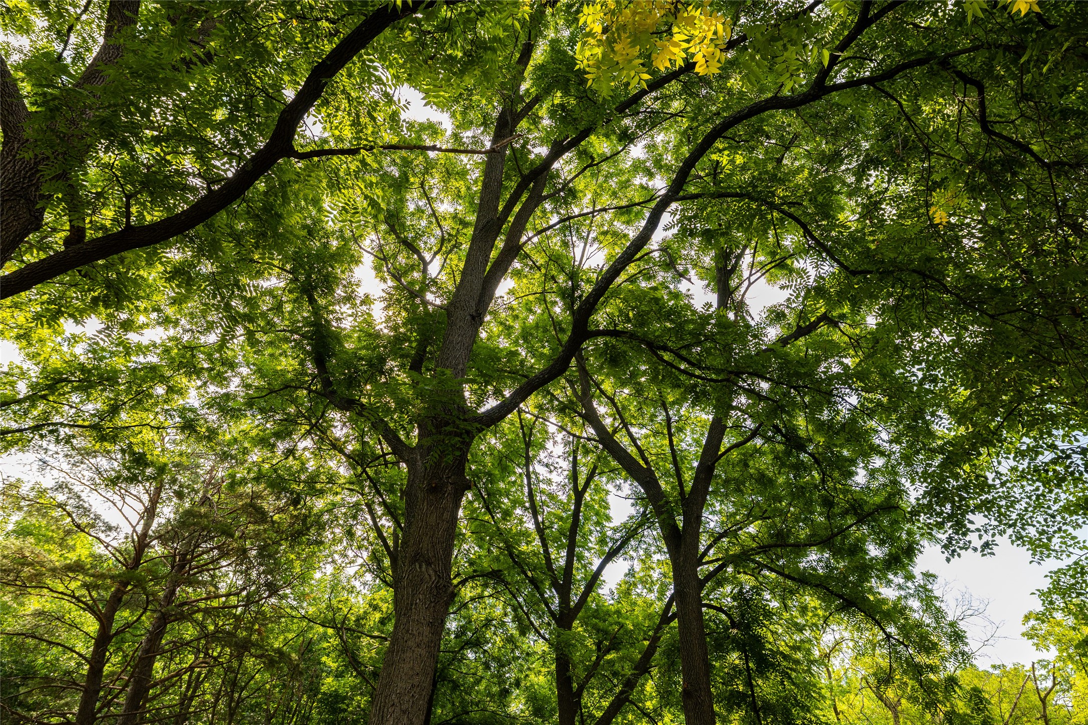 Property Photo #12
