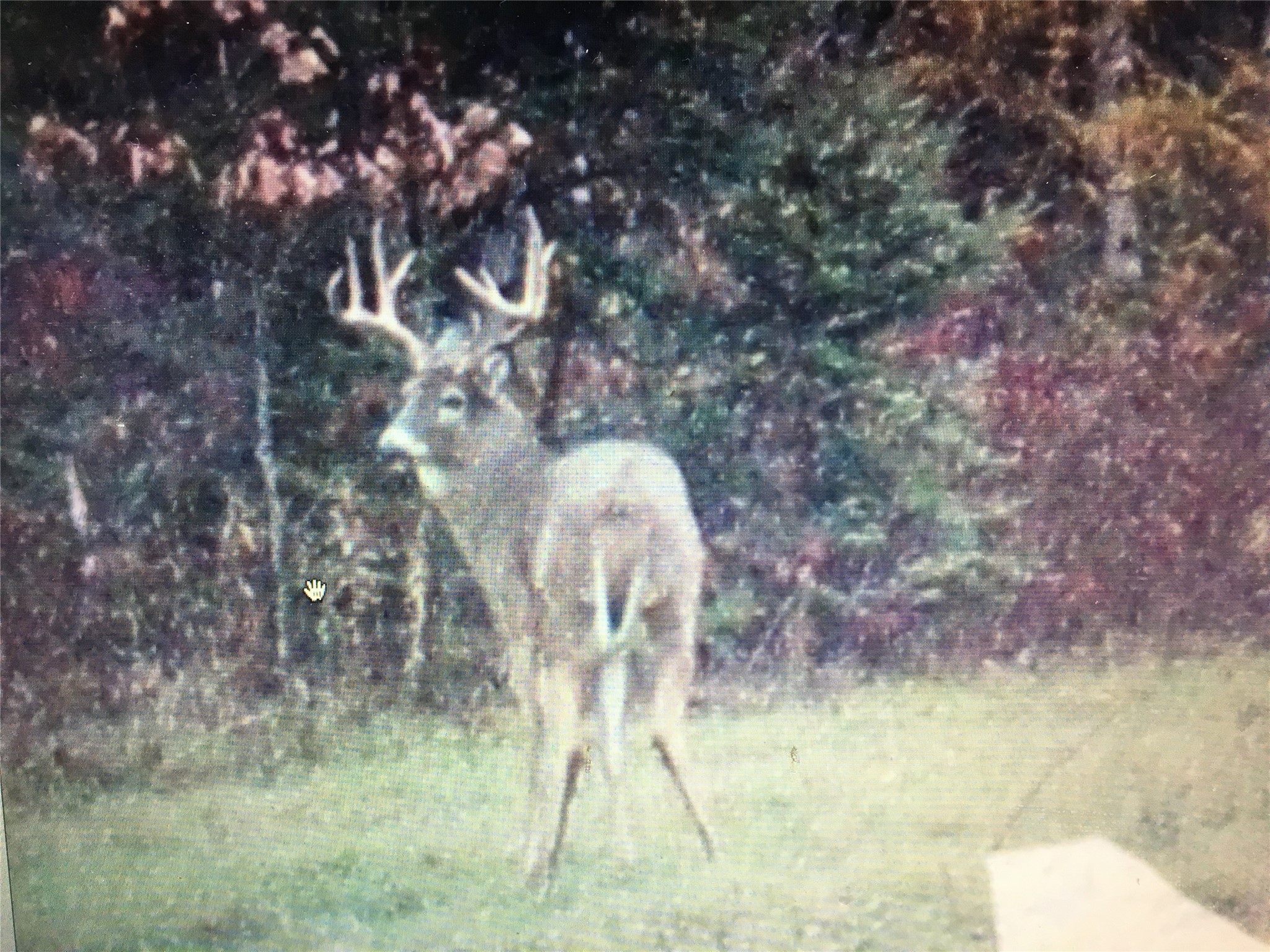 Thumbnail 25