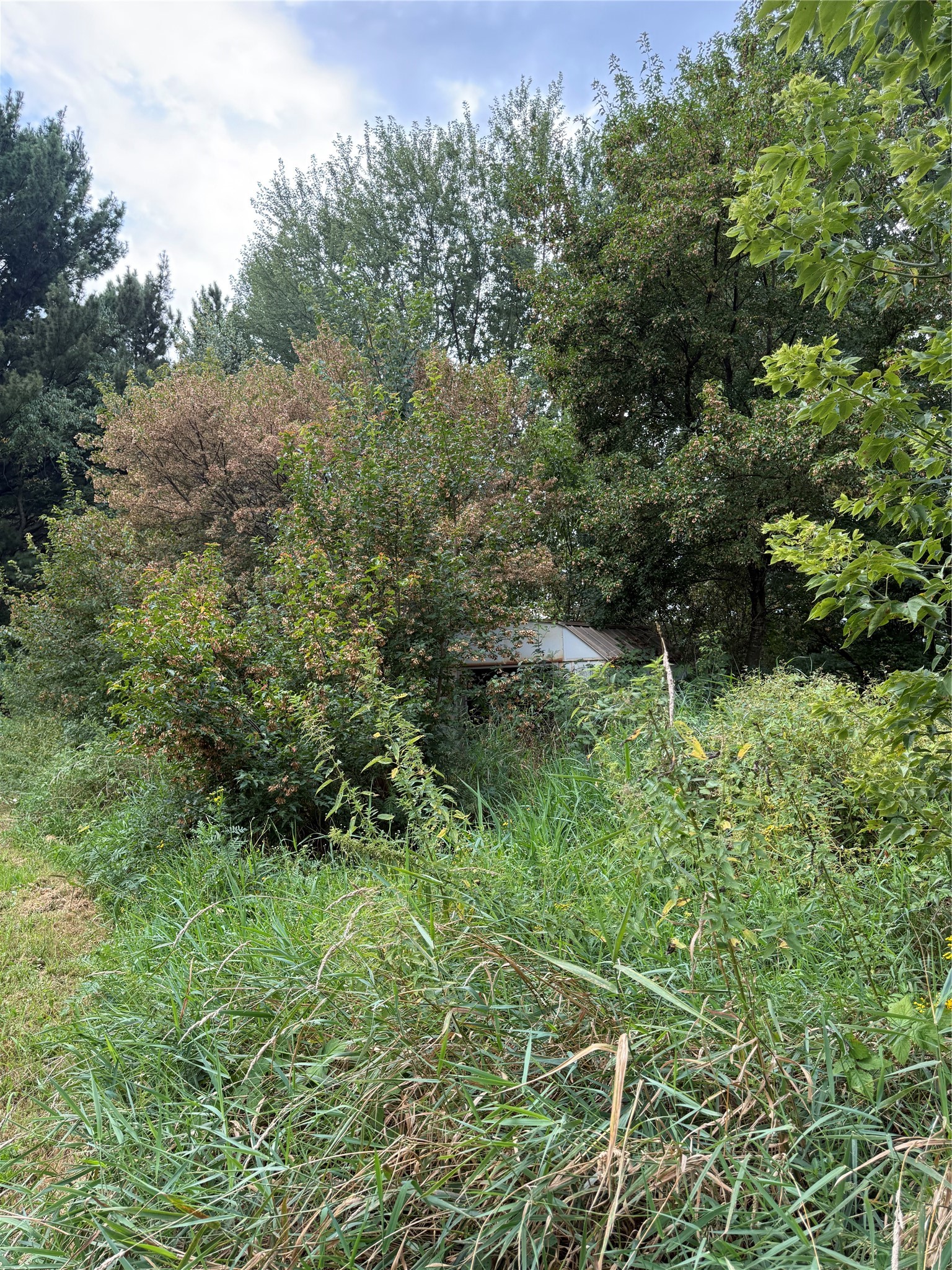 Property Photo #12