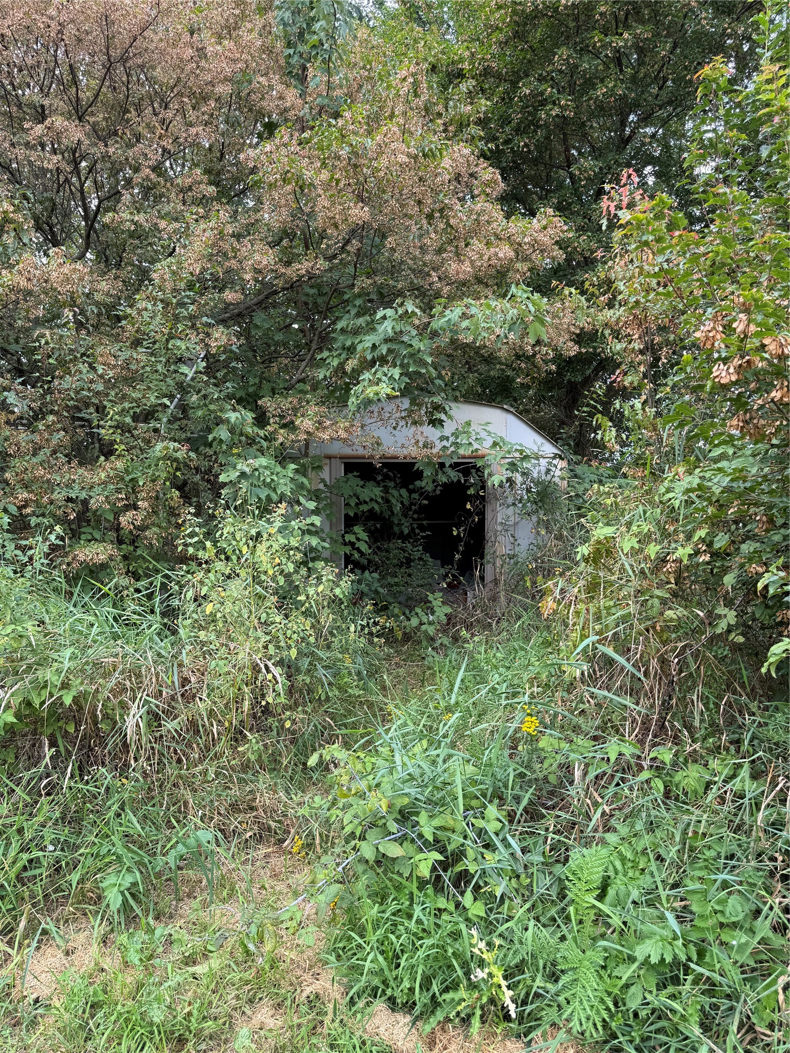 Property Photo #13