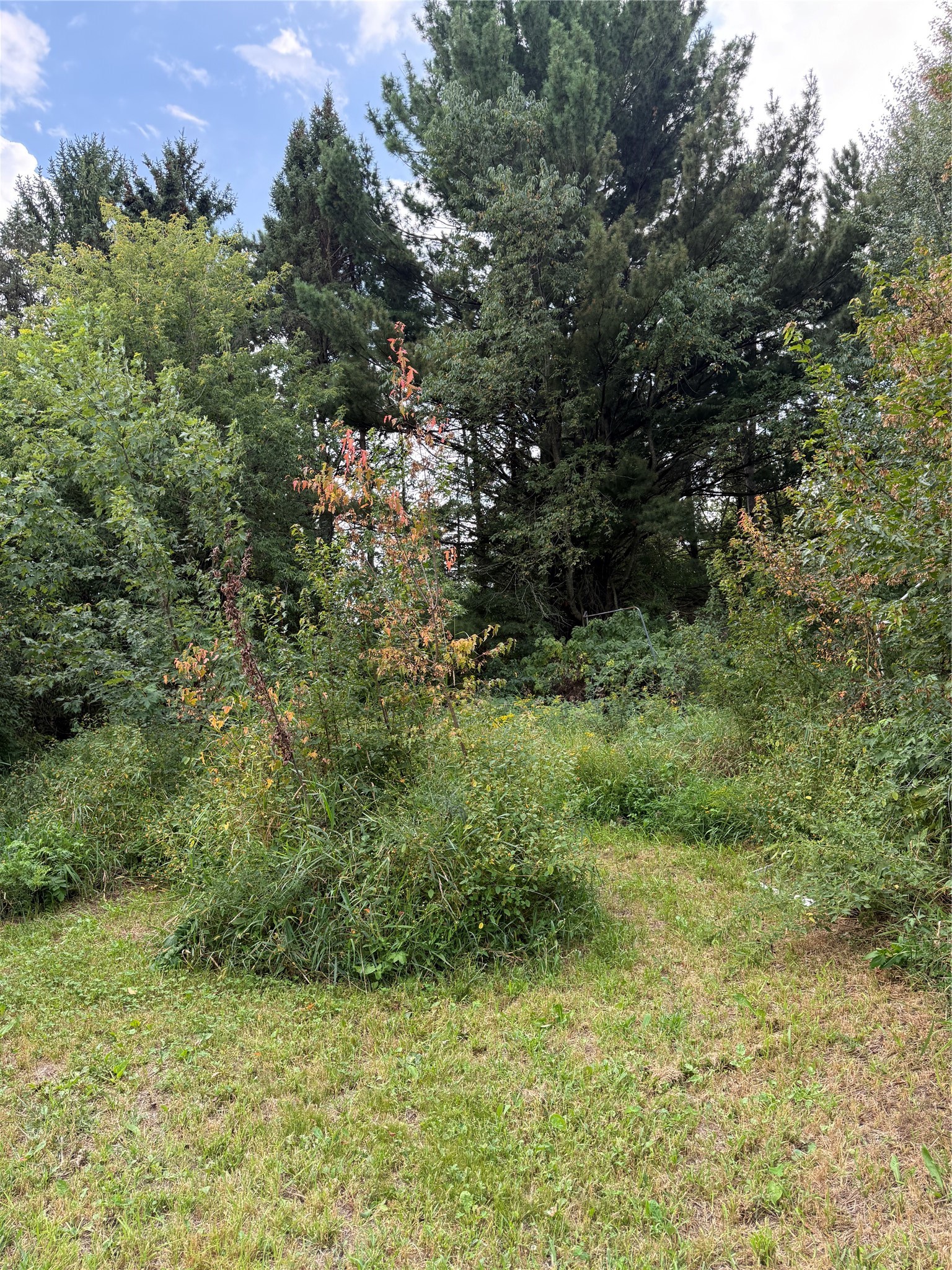 Property Photo #15