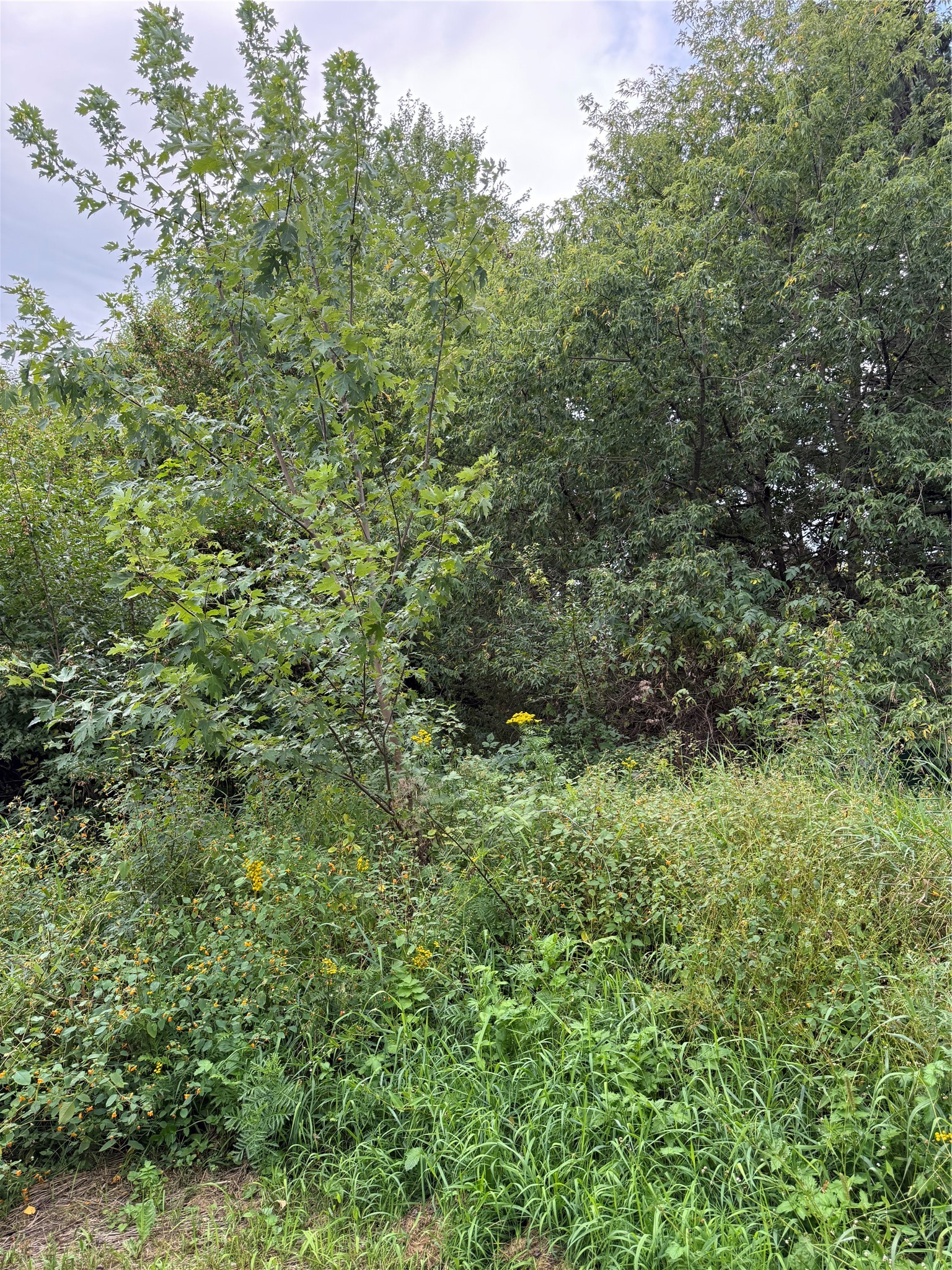 Property Photo #16