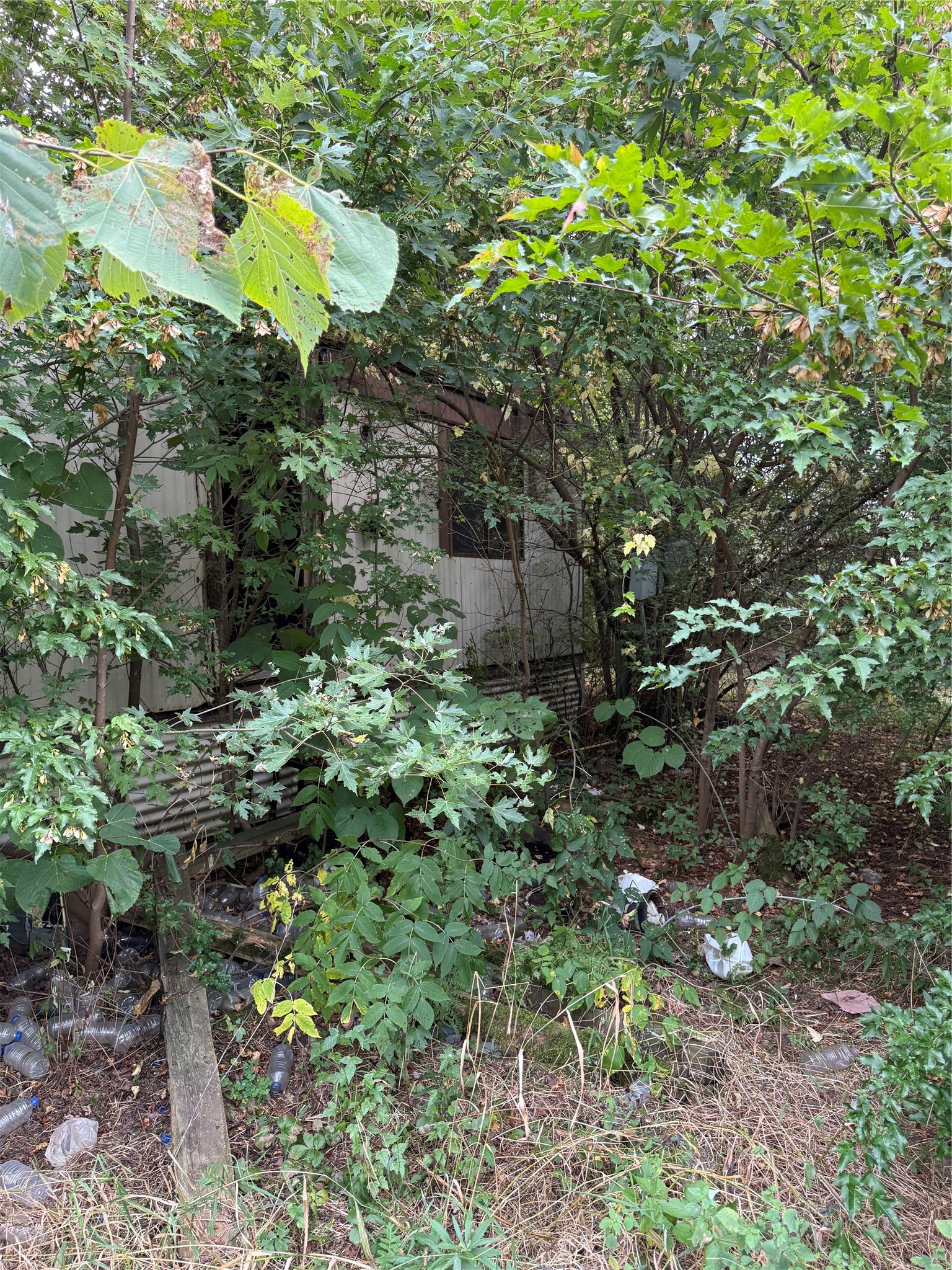 Property Photo #18