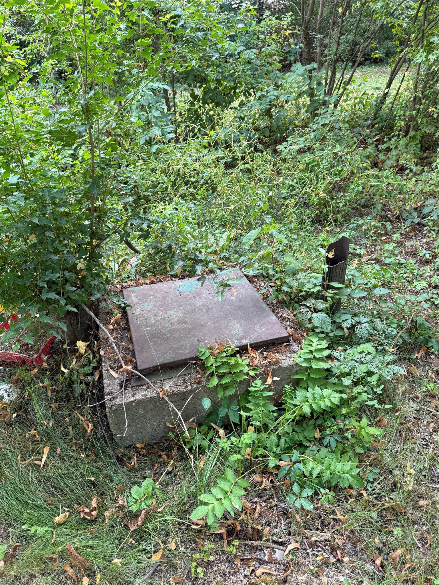 Property Photo #20