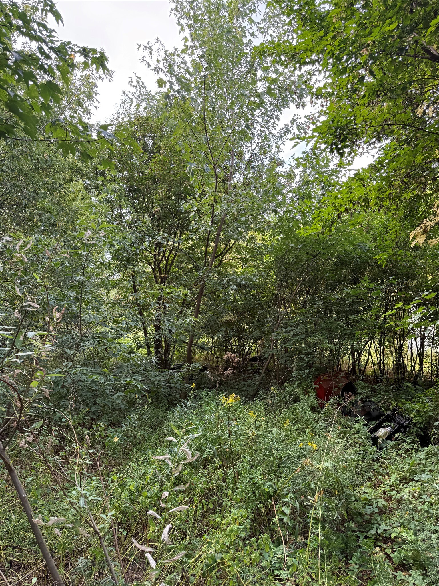 Property Photo #23