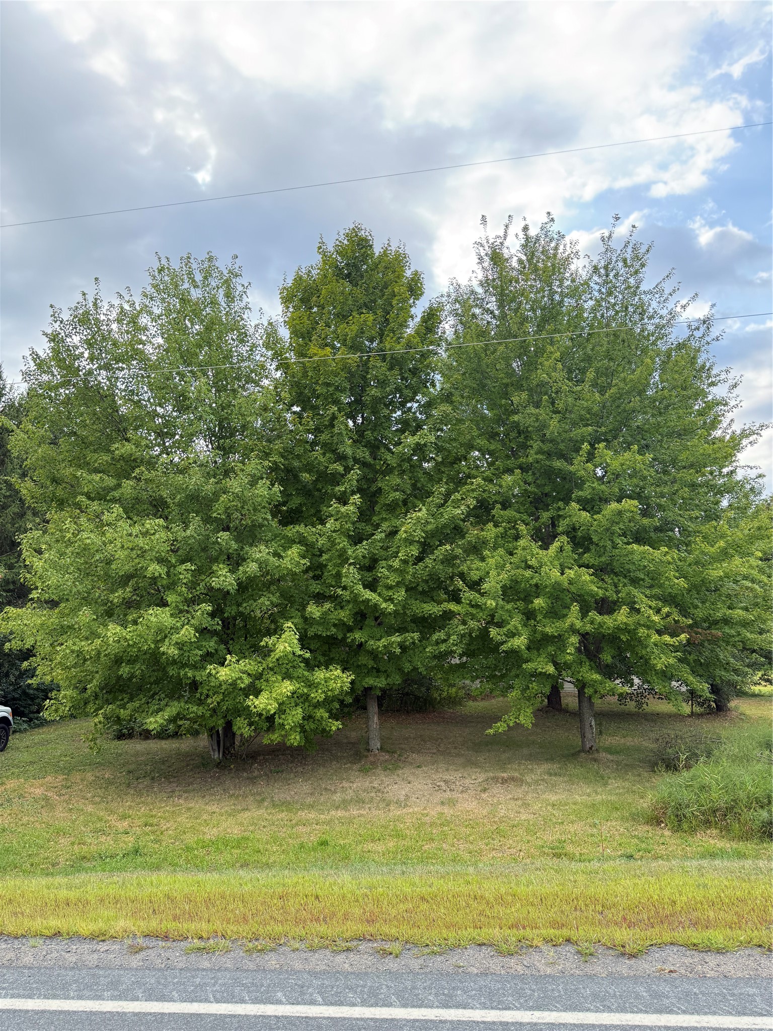 Property Photo #3