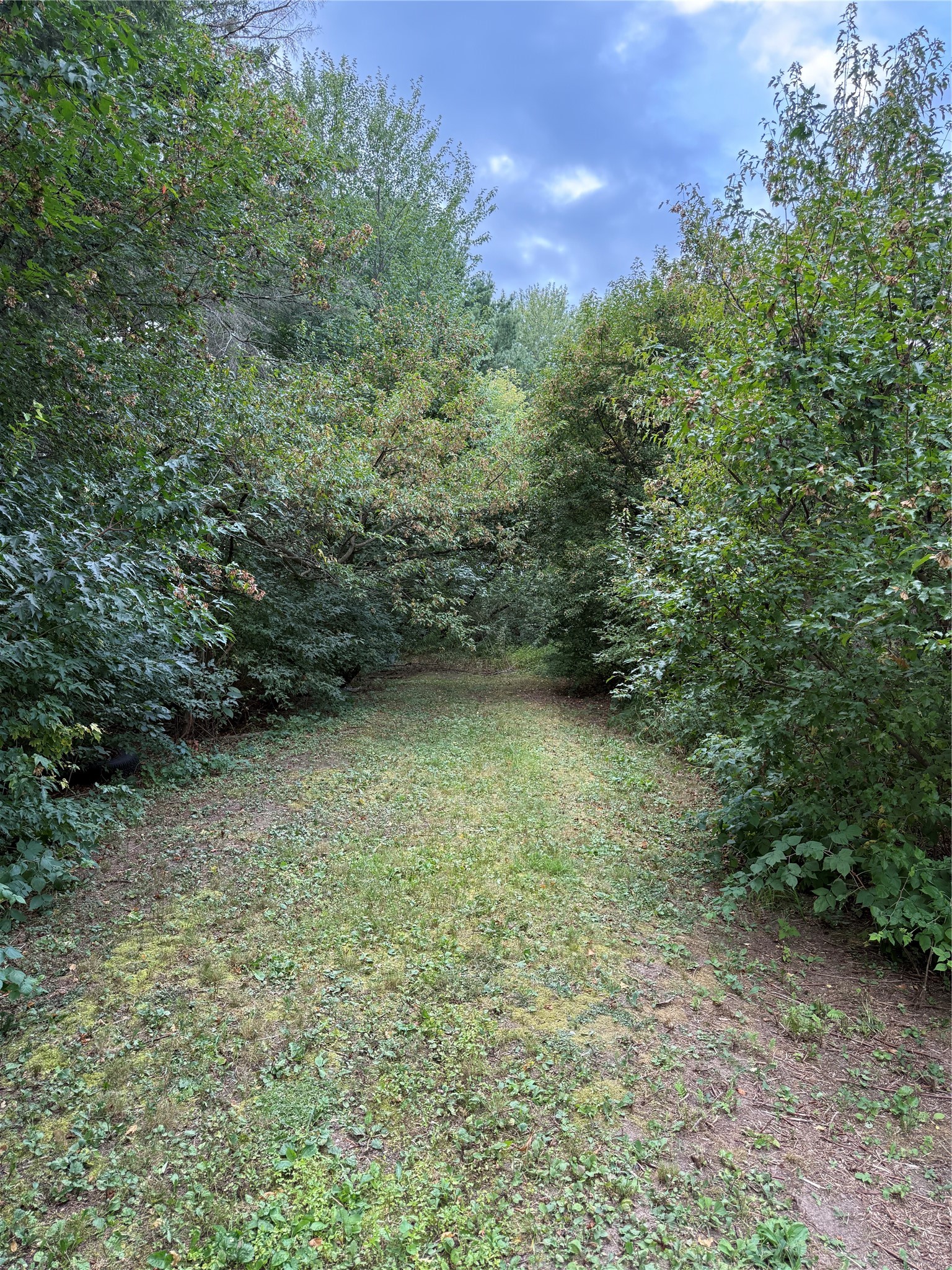 Property Photo #5