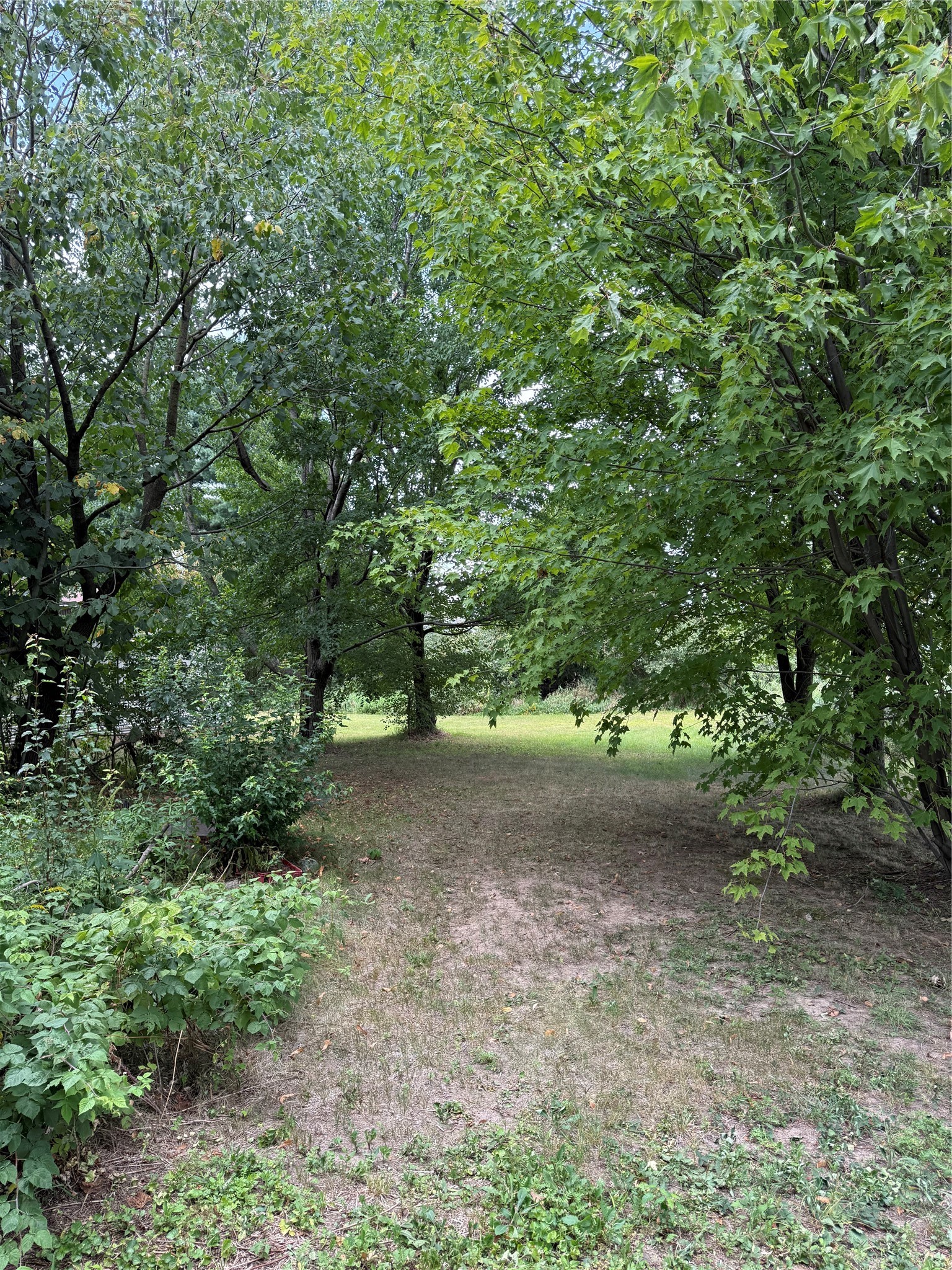 Property Photo #6