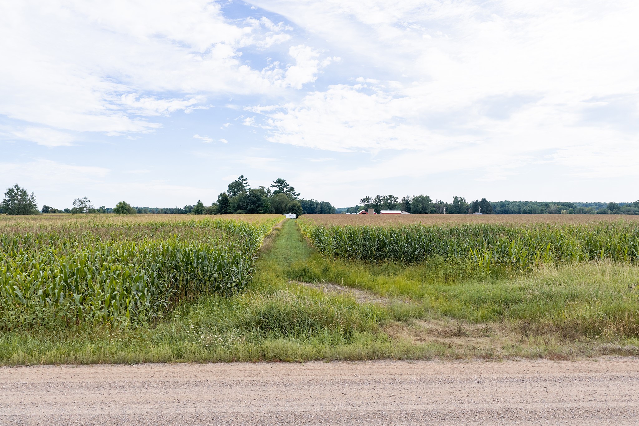 Property Photo #11