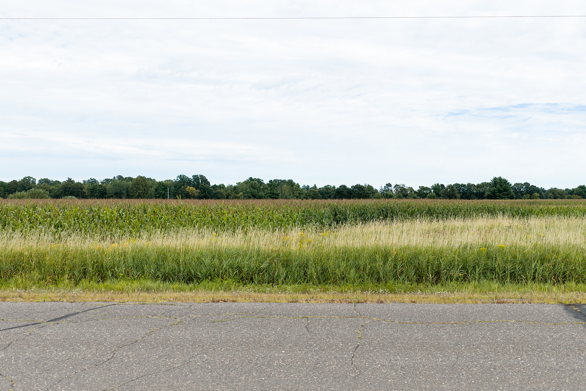 Property Photo #12