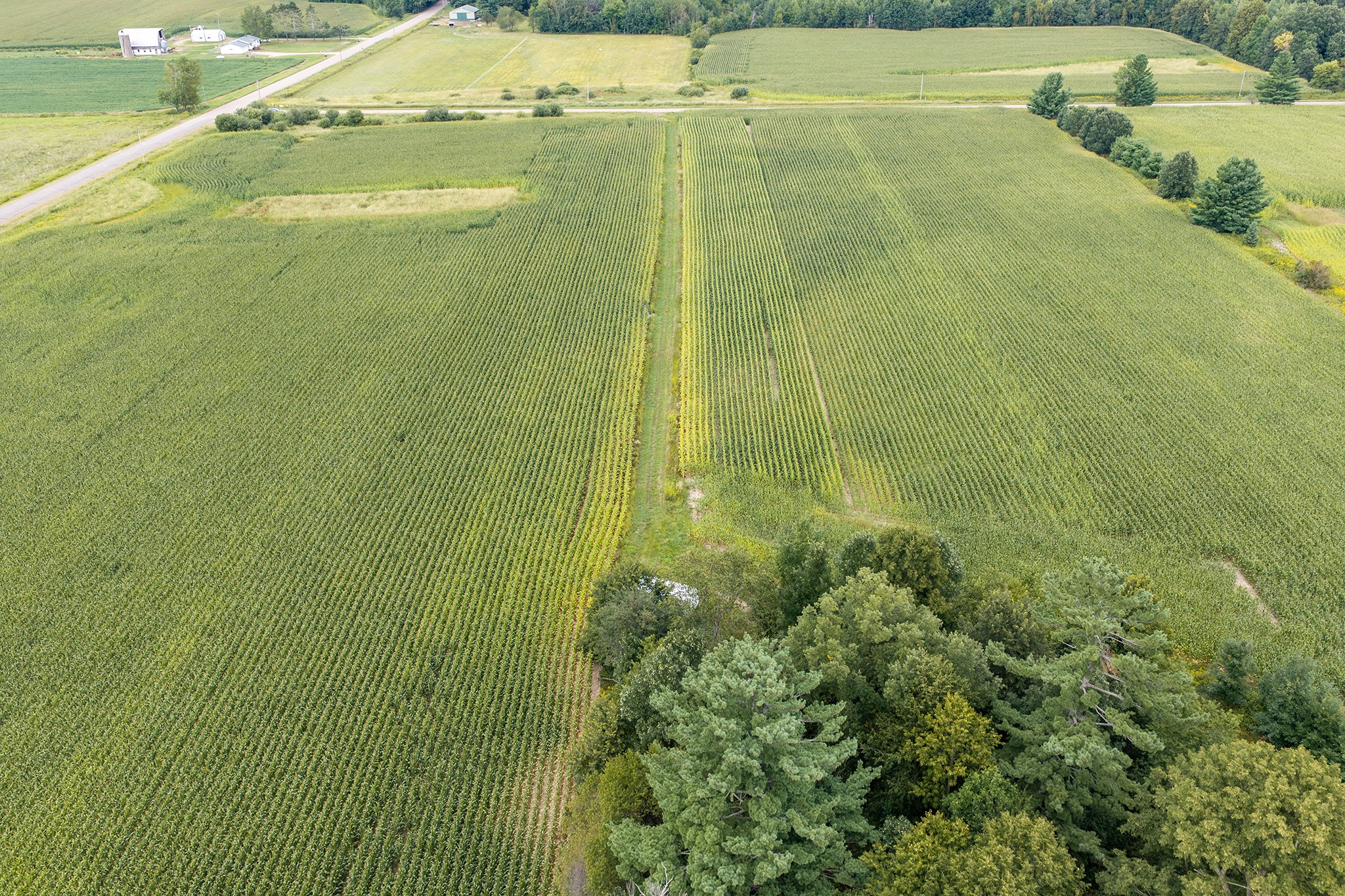 Property Photo #9