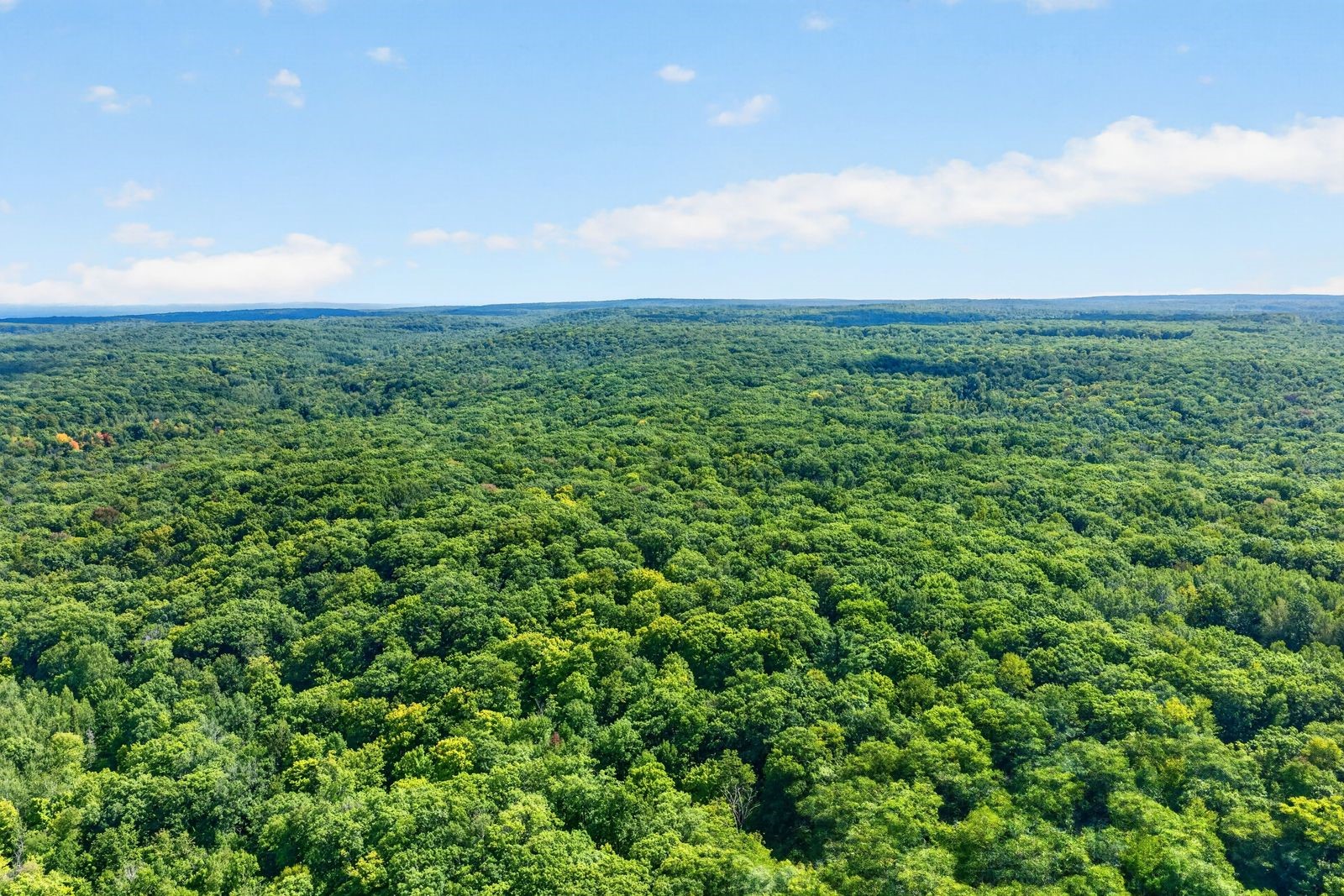 Exeland Land Real Estate