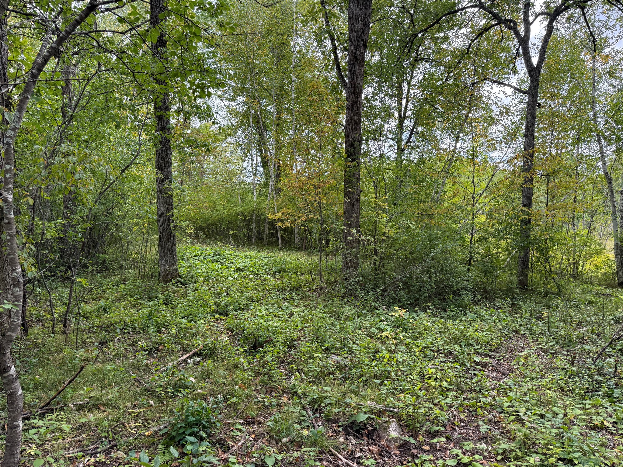 Property Photo #10