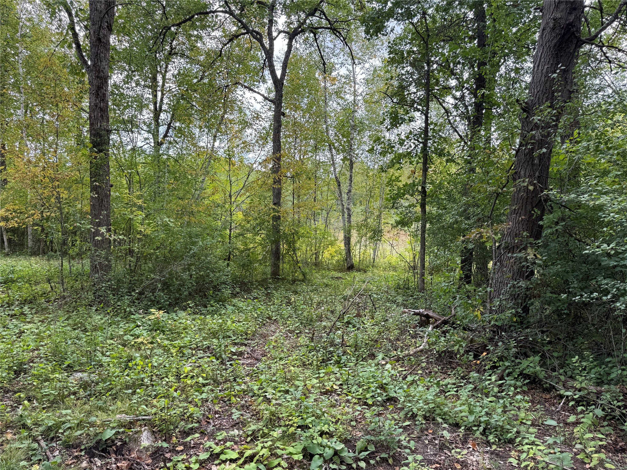Property Photo #11