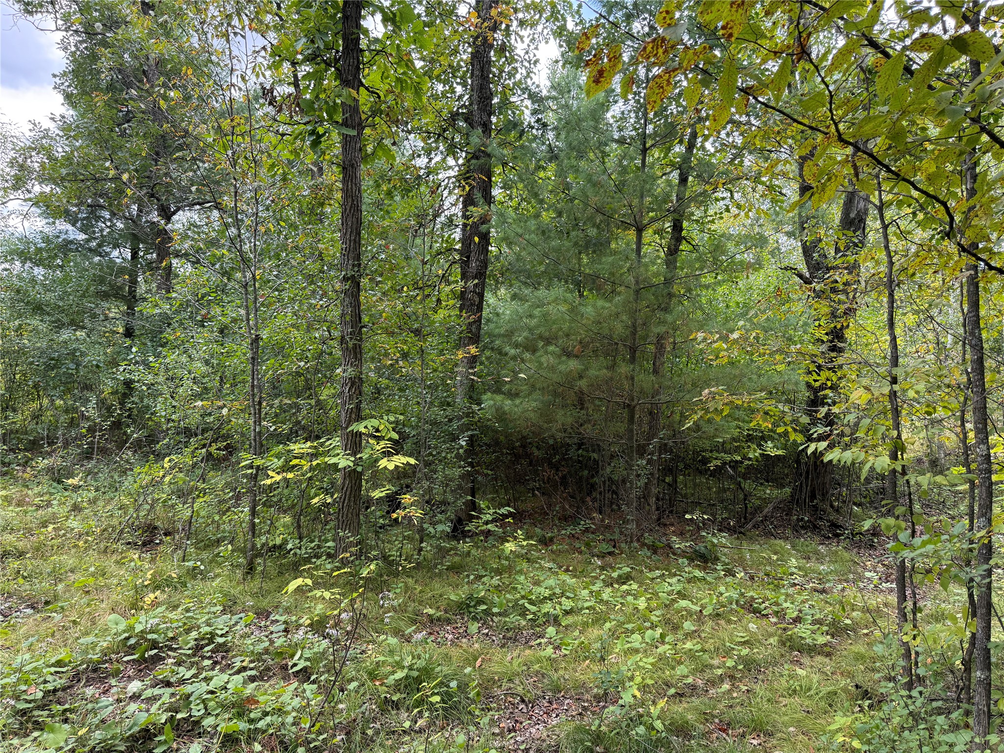 Property Photo #12