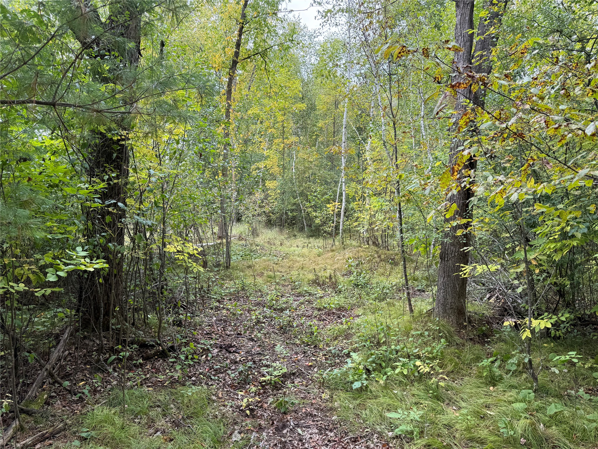 Property Photo #13