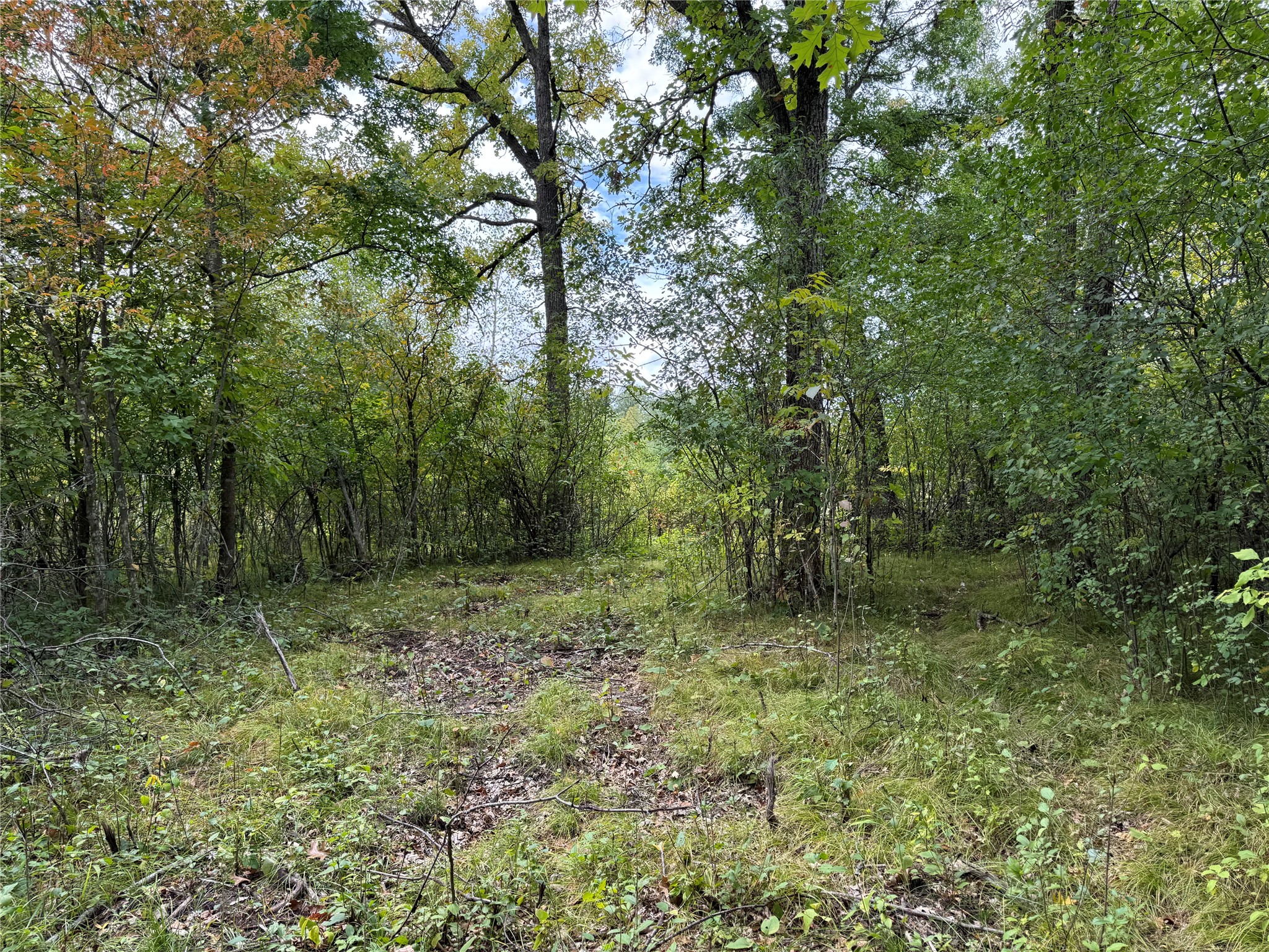Property Photo #14