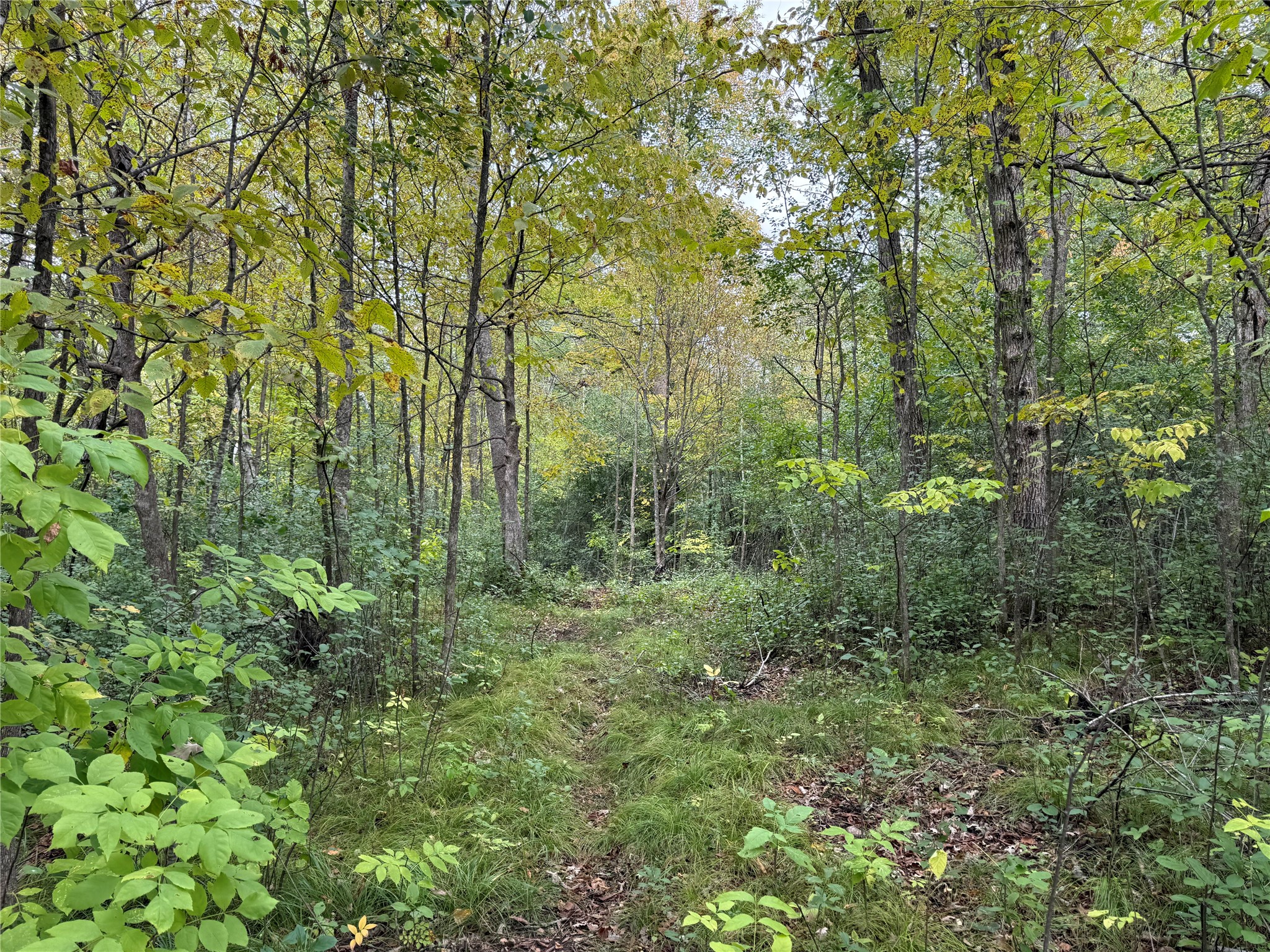 Property Photo #15