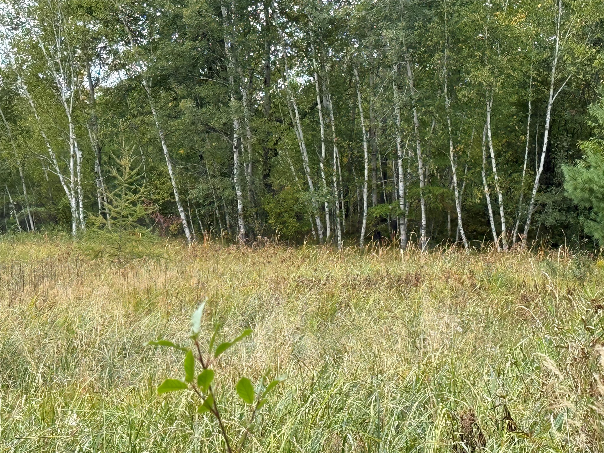 Property Photo #16