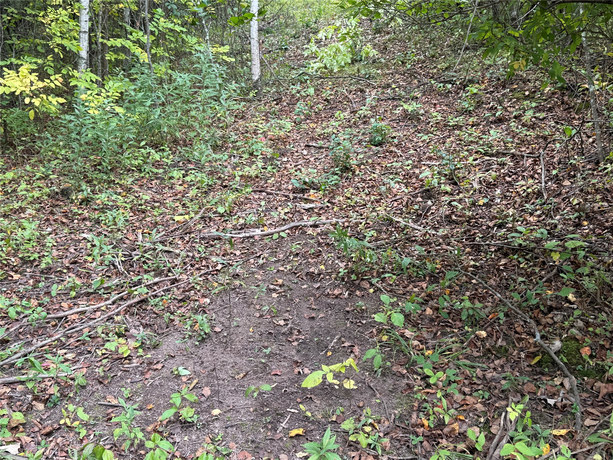Property Photo #18