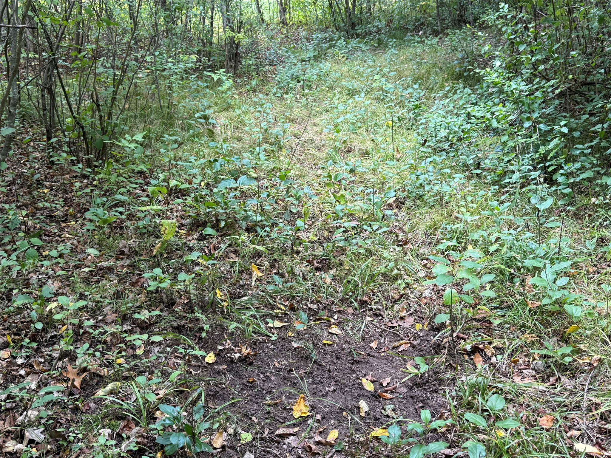 Property Photo #19