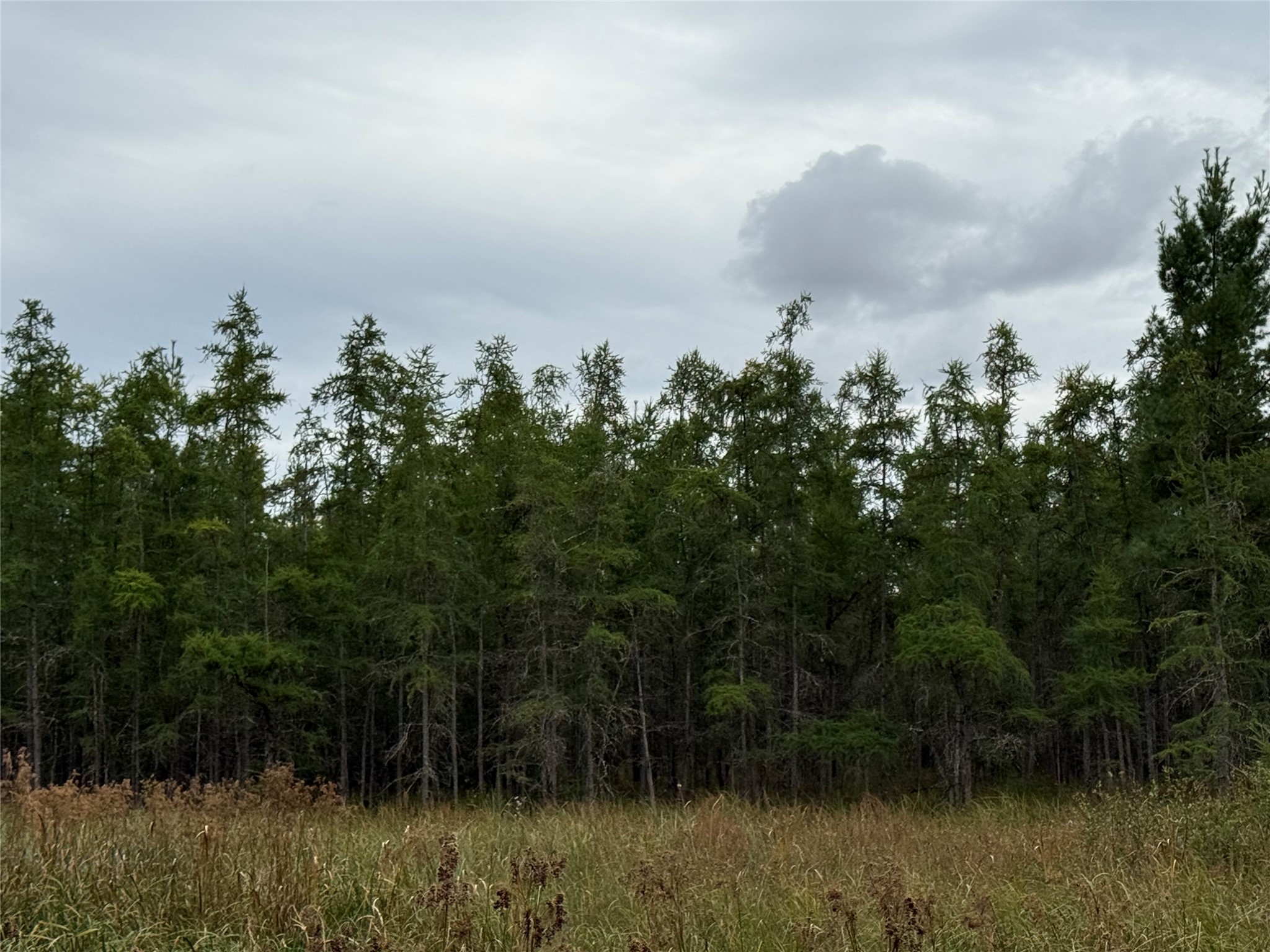 Property Photo #21