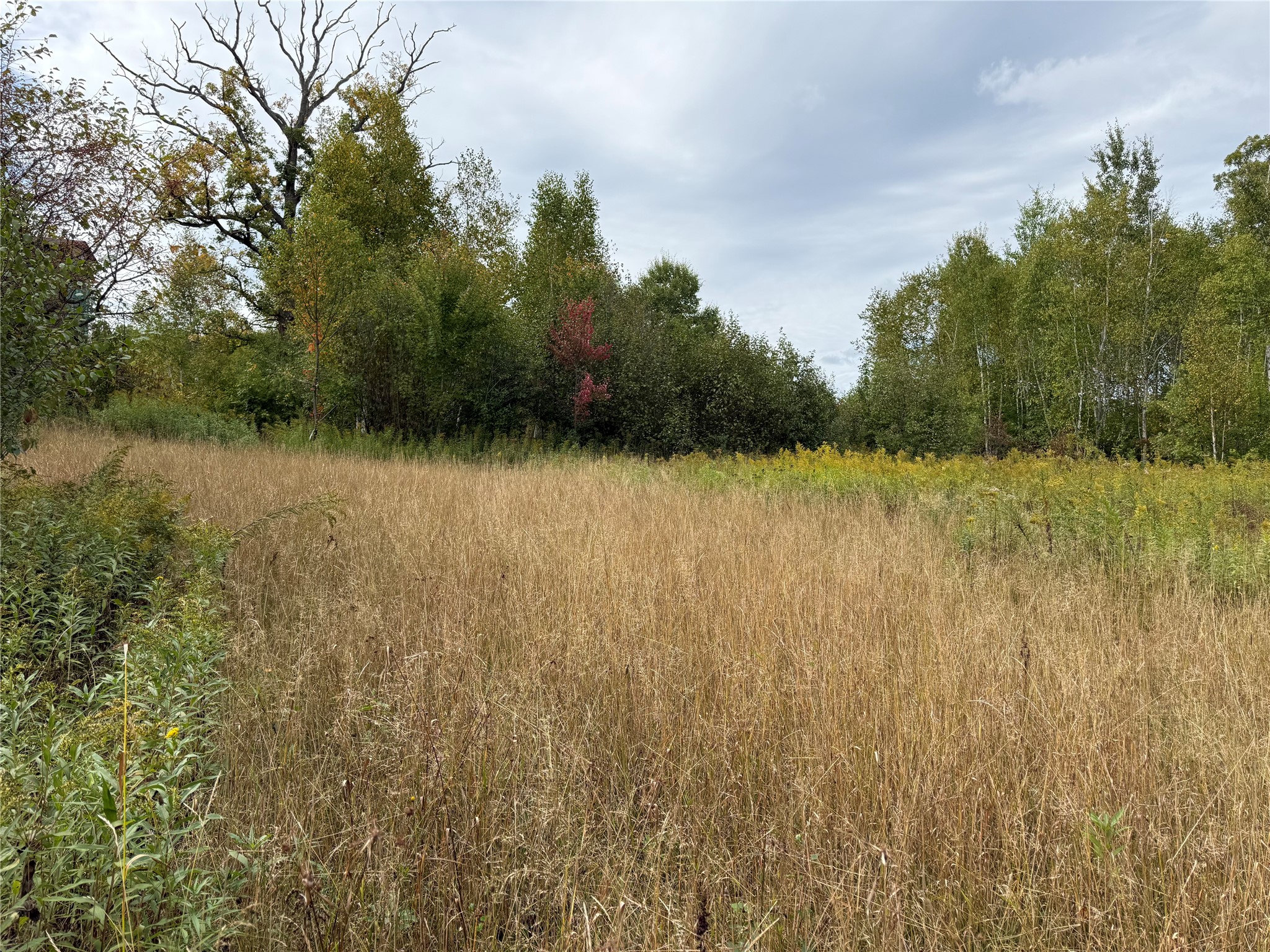 Property Photo #22