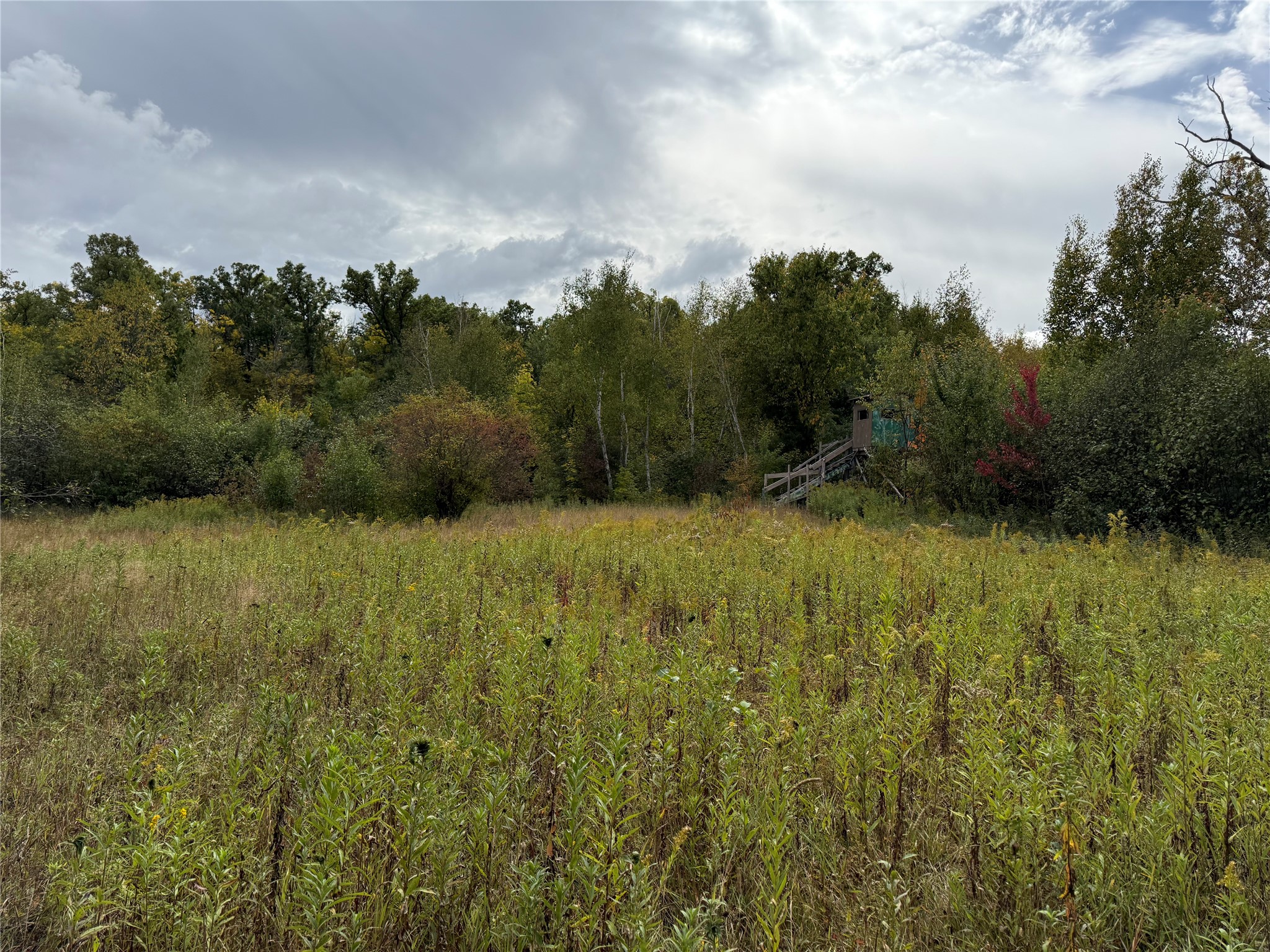 Property Photo #23