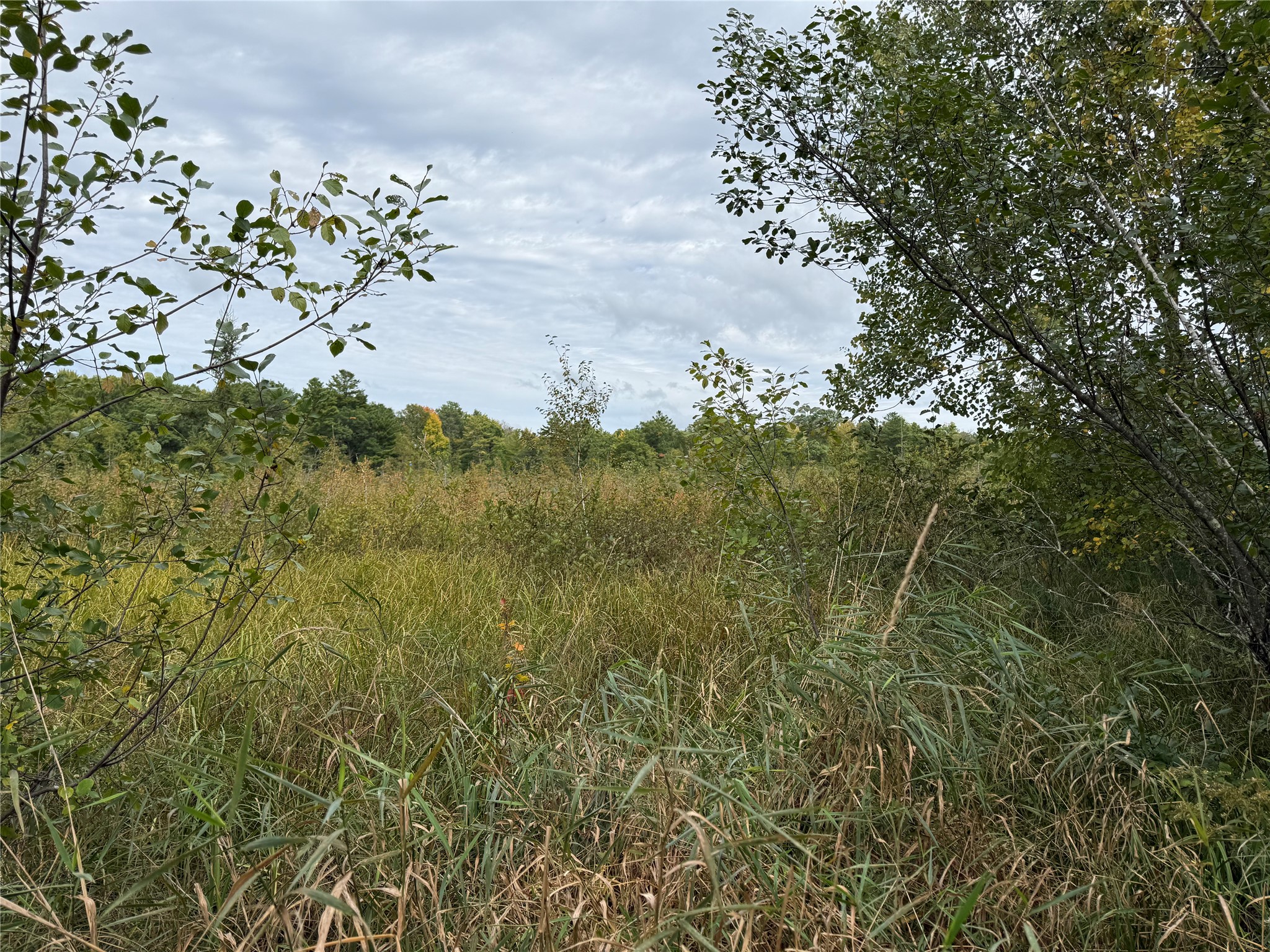 Property Photo #25