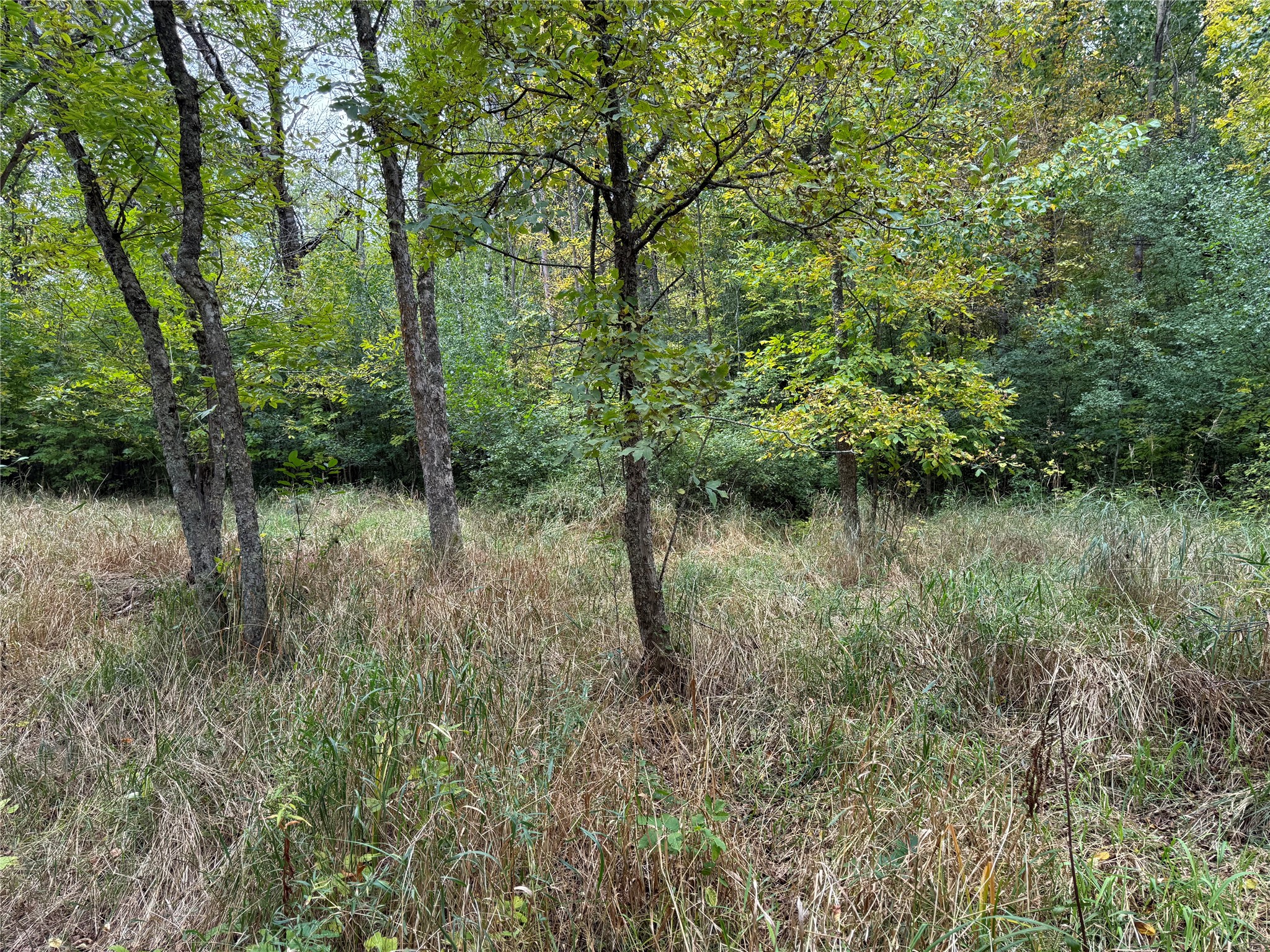 Property Photo #26