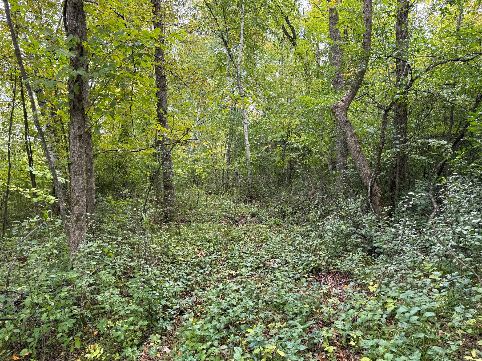 Property Photo #27